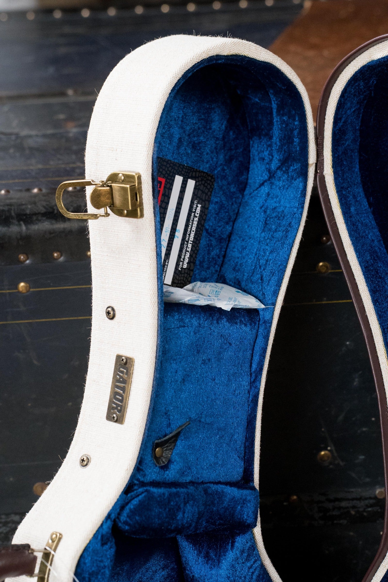 Gator Journeyman Deluxe Wood Mandolin Case