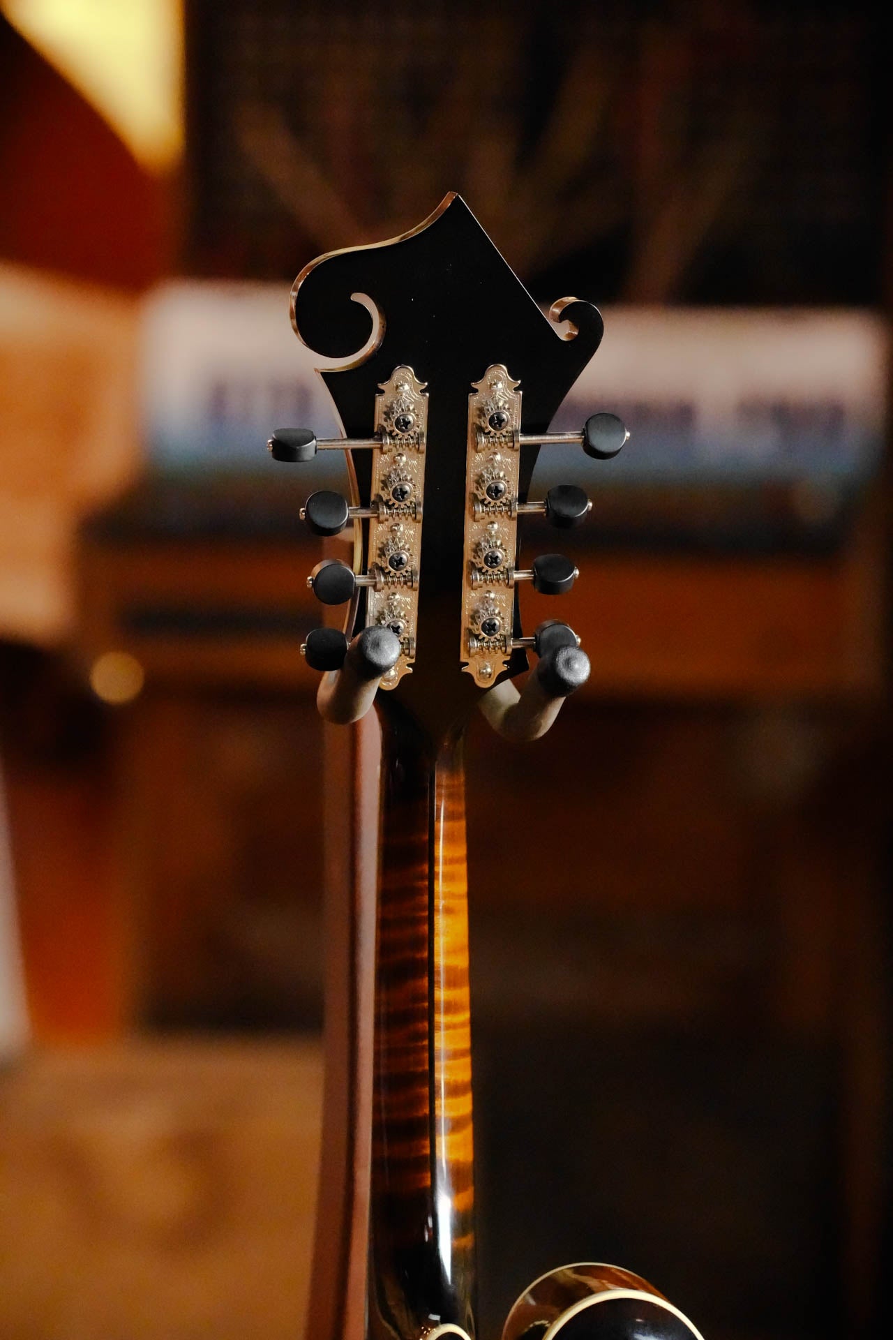 Gold Tone Grandmaster Mandolin Elite - Burst Finish #5307