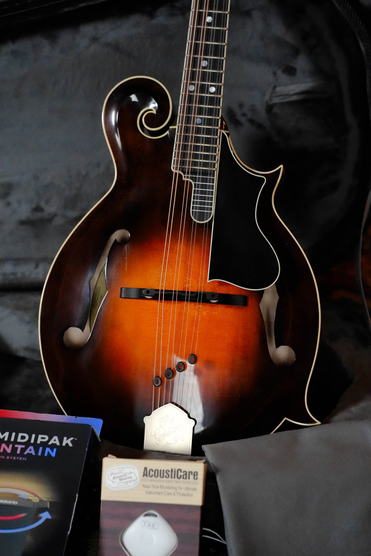 Gold Tone Grandmaster Mandolin Elite - Burst Finish #5307