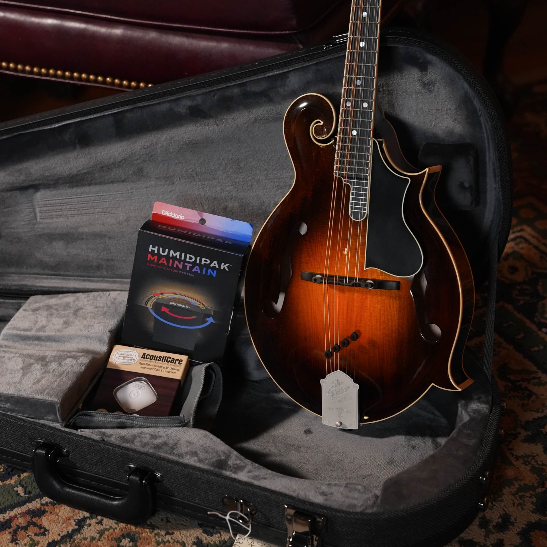 Gold Tone Grandmaster Mandolin Elite - Burst Finish #8440