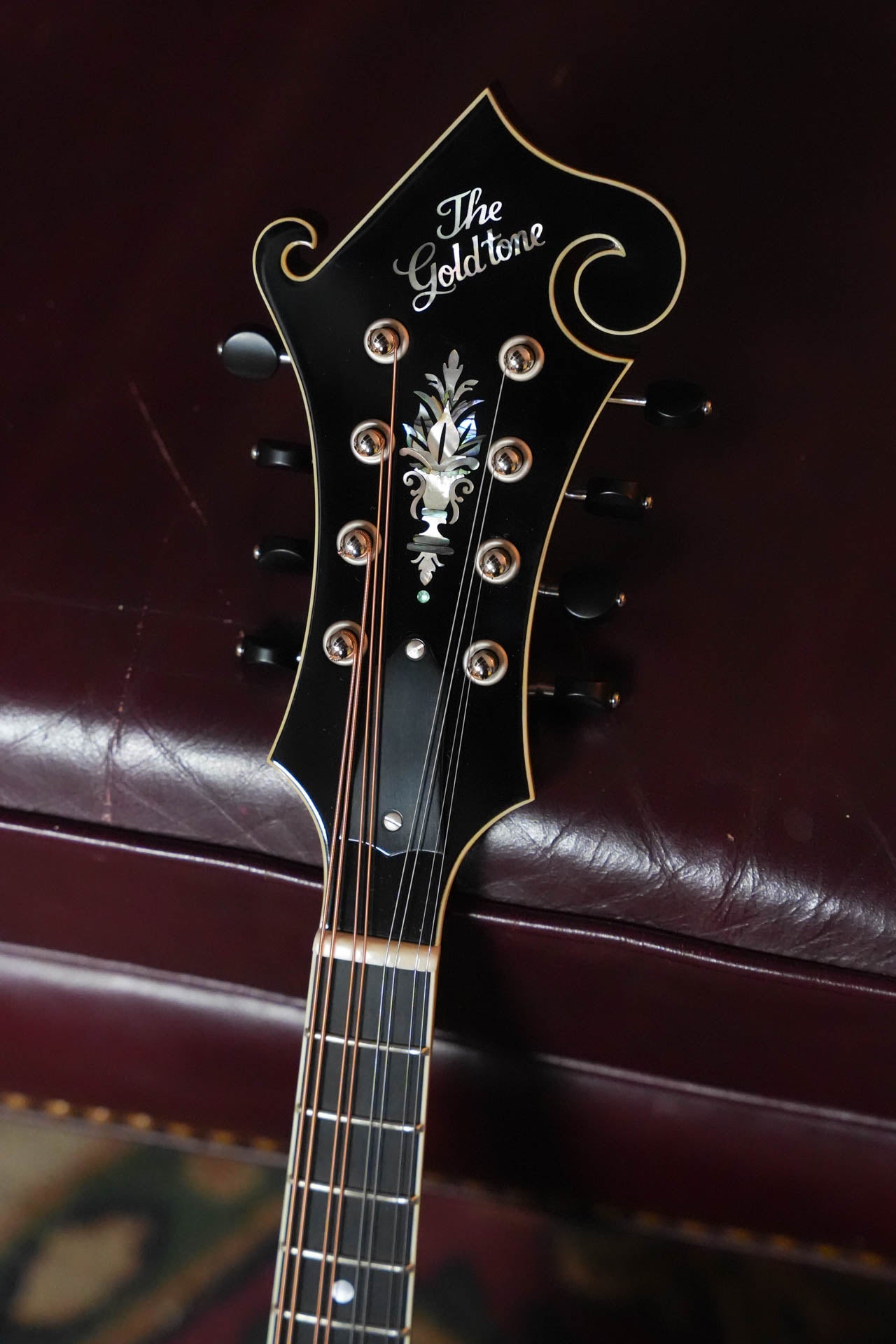 Gold Tone Grandmaster Mandolin Elite - Burst Finish #8440
