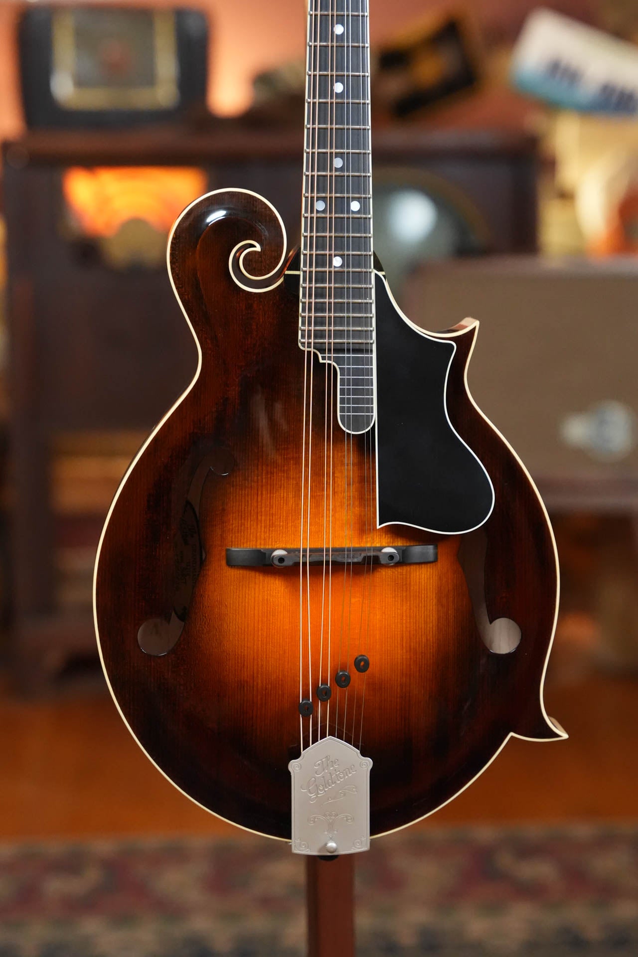 Gold Tone Grandmaster Mandolin Elite - Burst Finish #8440