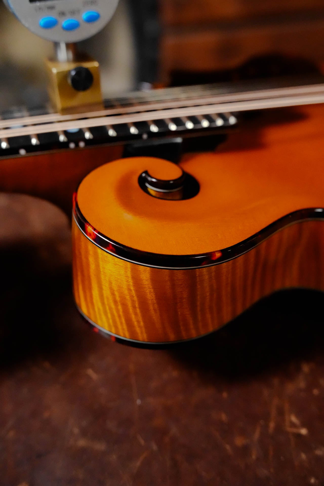 Gold Tone Grandmaster Mandolin Elite - Honey Amber Finish #5627