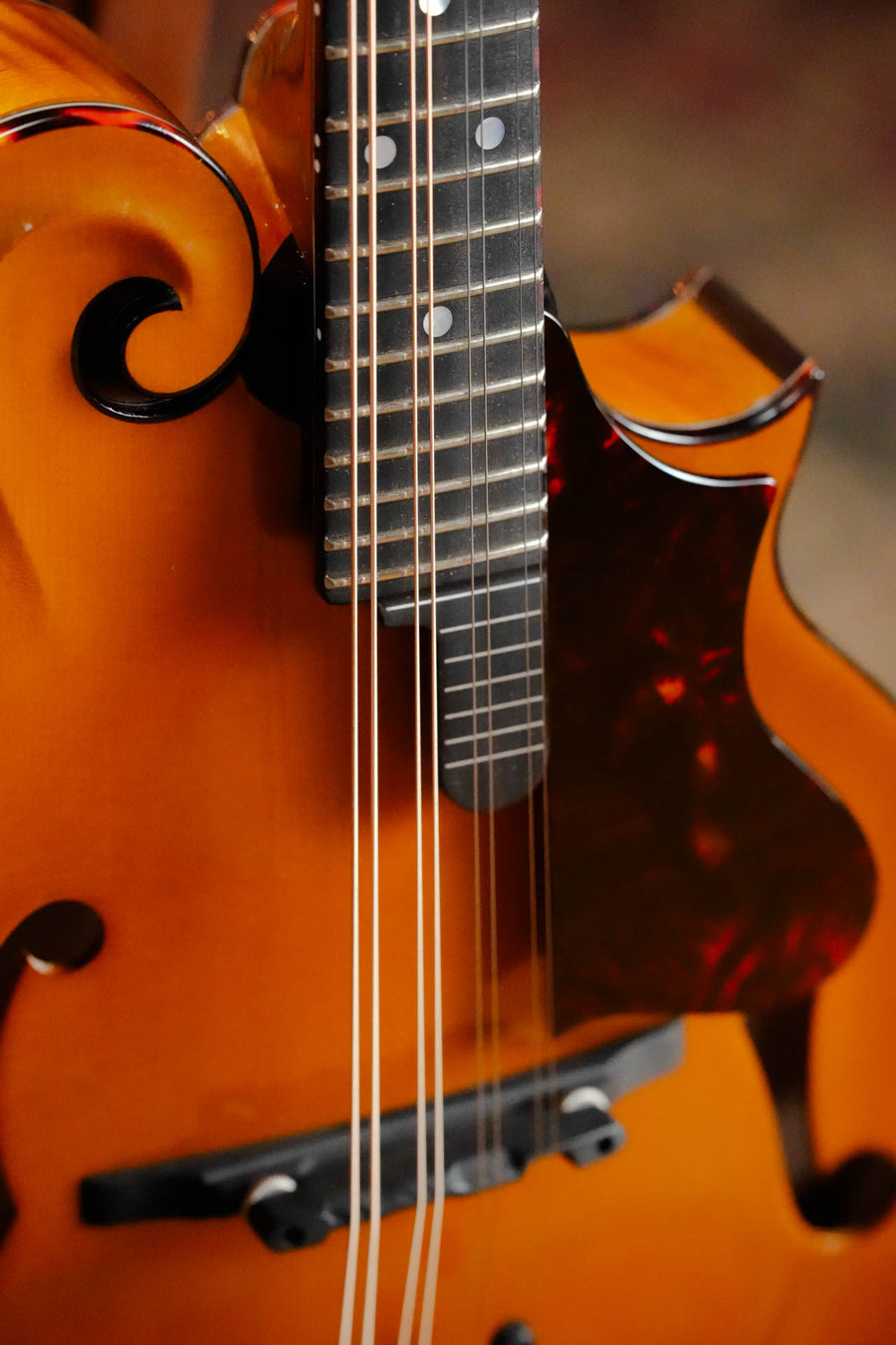 Close-up of the Gold Tone Grandmaster Mandolin Elite - Honey Amber Finish #5627, an F-style mandolin by Gold Tone, showing part of the body, strings, neck, and decorative f-hole with a tortoiseshell-patterned pickguard.