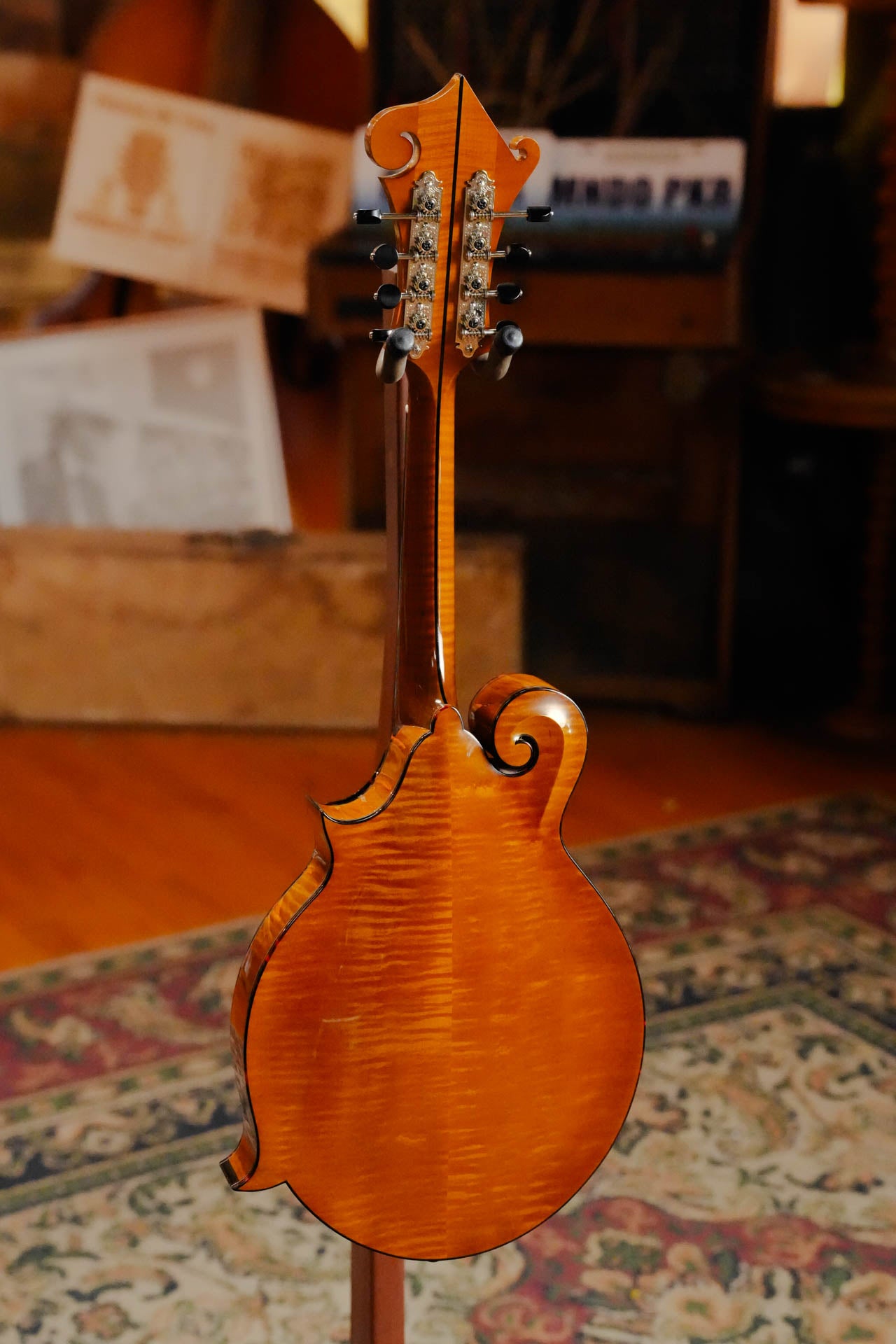 Gold Tone Grandmaster Mandolin Elite - Honey Amber Finish #5627