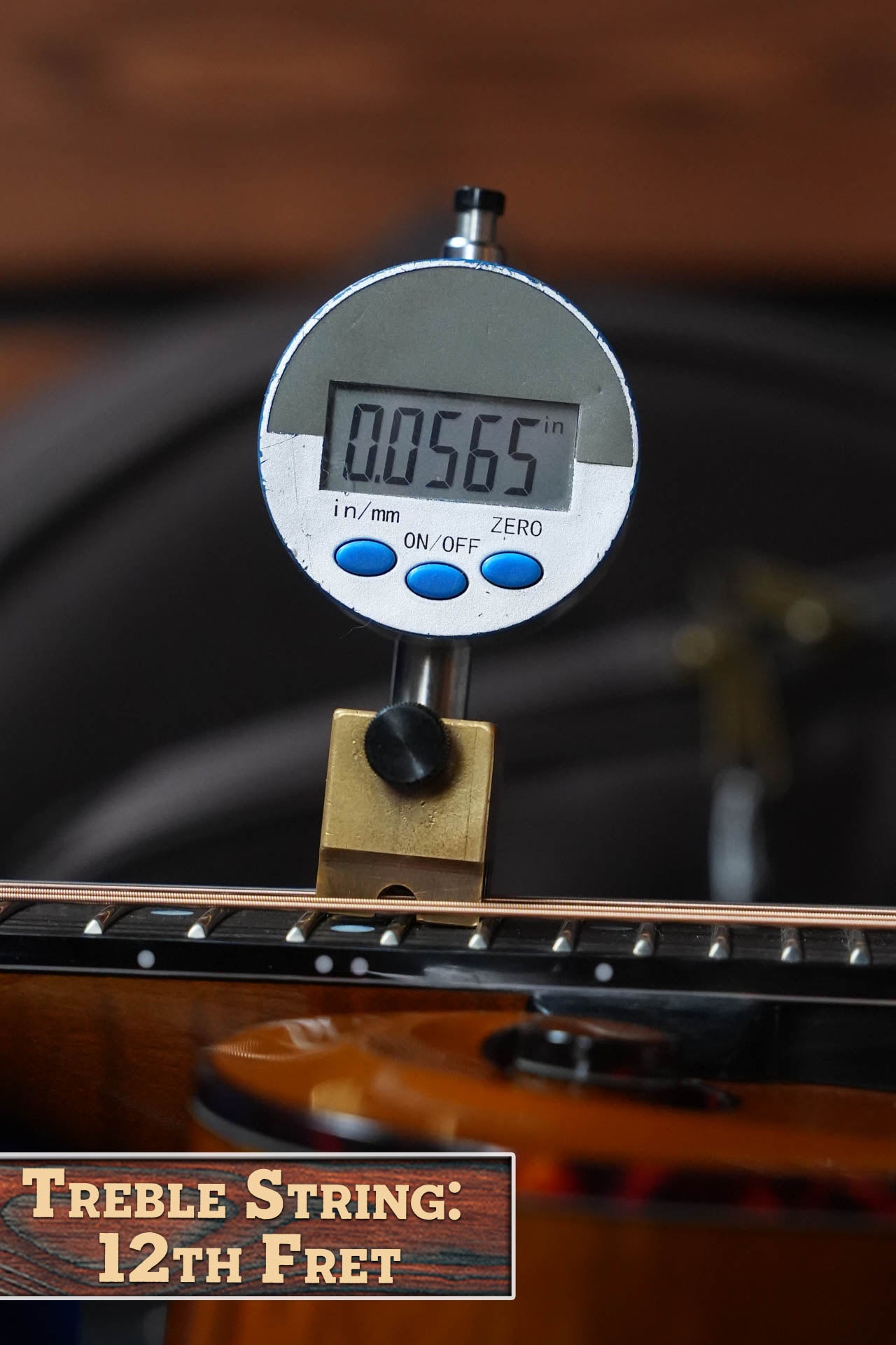 Gold Tone Grandmaster Mandolin Elite - Honey Amber Finish #8439