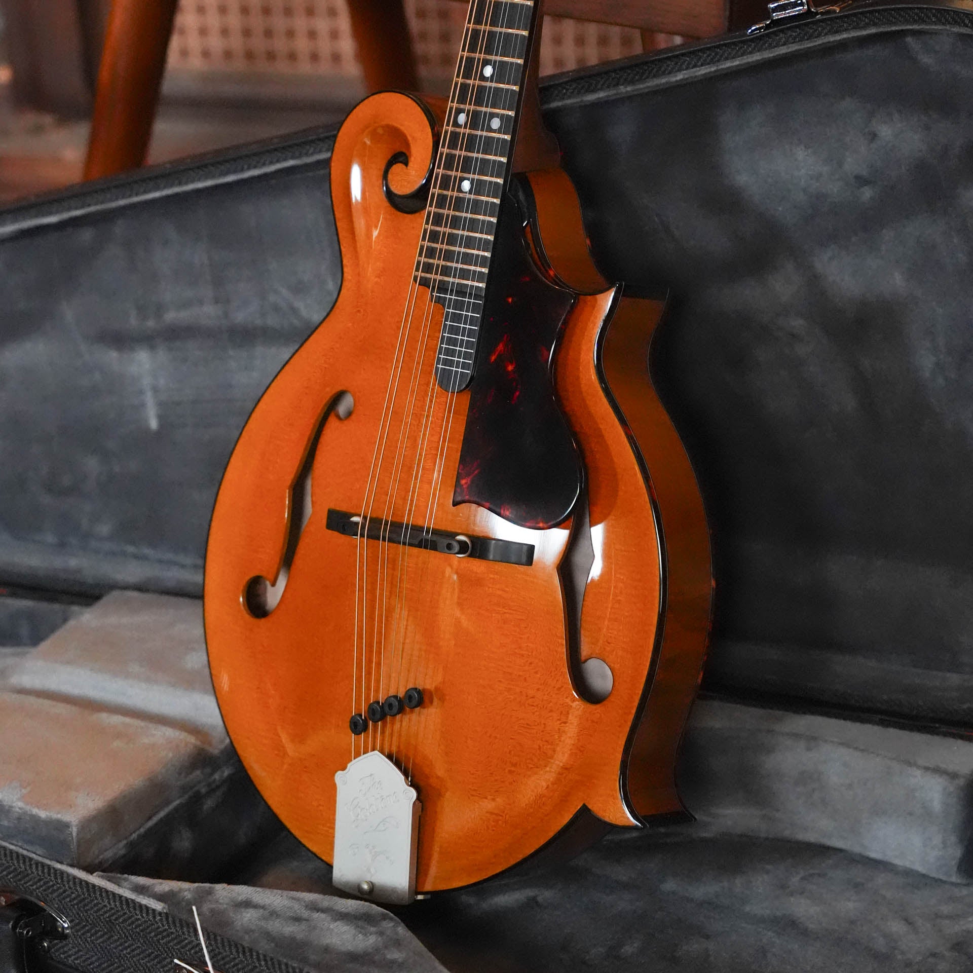 Gold Tone Grandmaster Mandolin Elite - Honey Amber Finish #8439