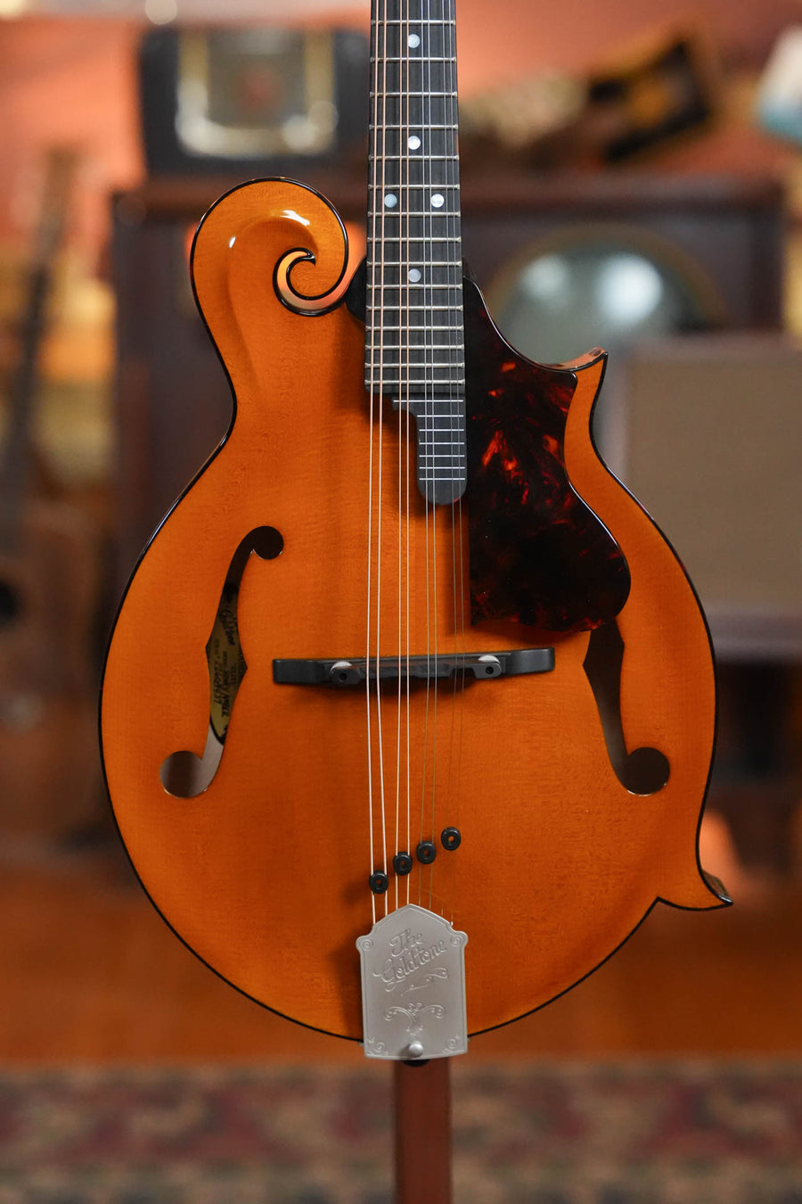 Gold Tone Grandmaster Mandolin Elite - Honey Amber Finish #8439