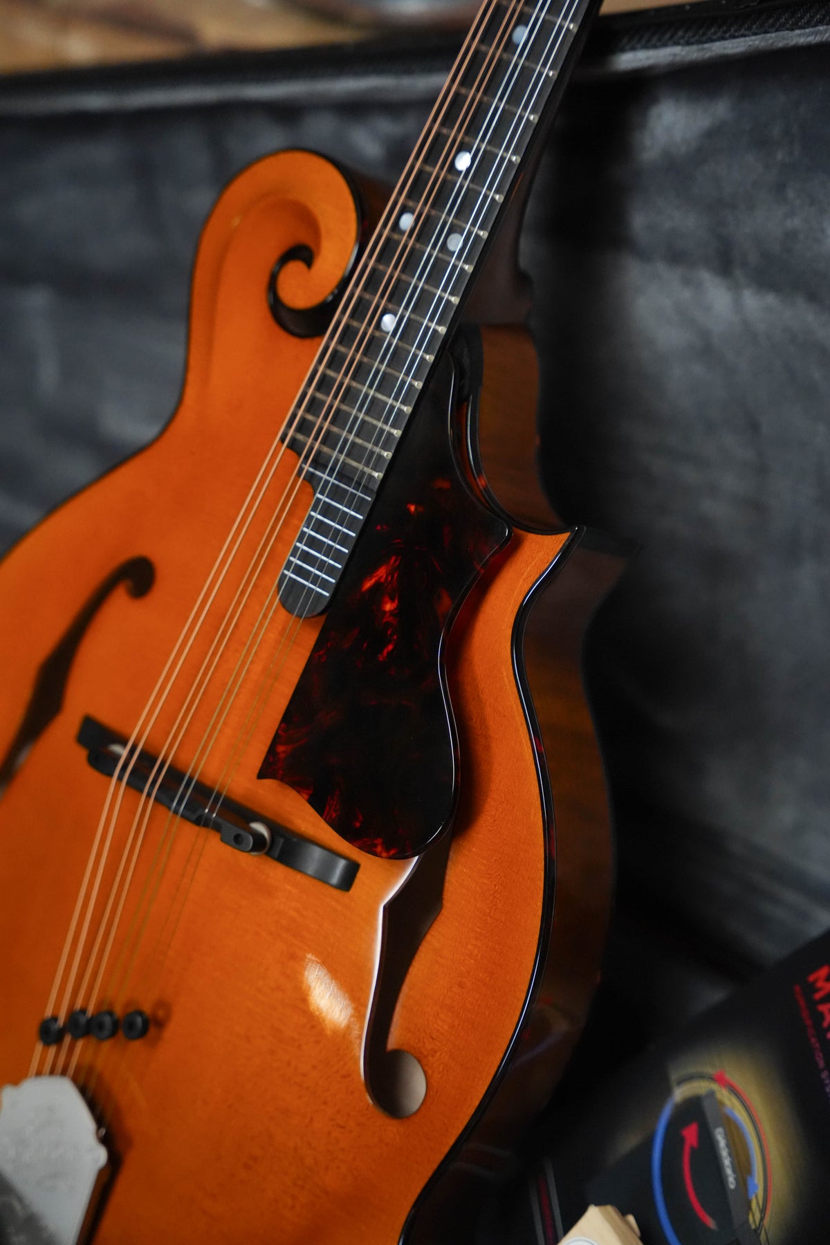 Gold Tone Grandmaster Mandolin Elite - Honey Amber Finish #8439