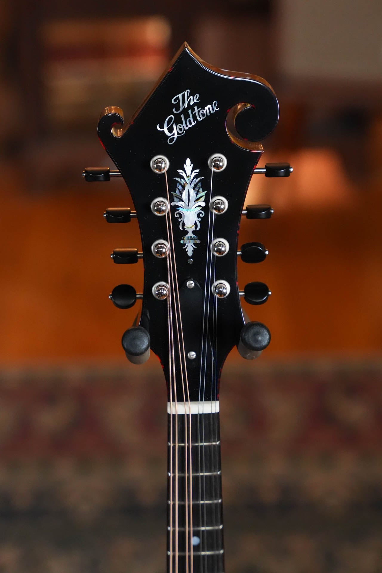 Gold Tone Grandmaster Mandolin Elite - Honey Amber Finish #8439