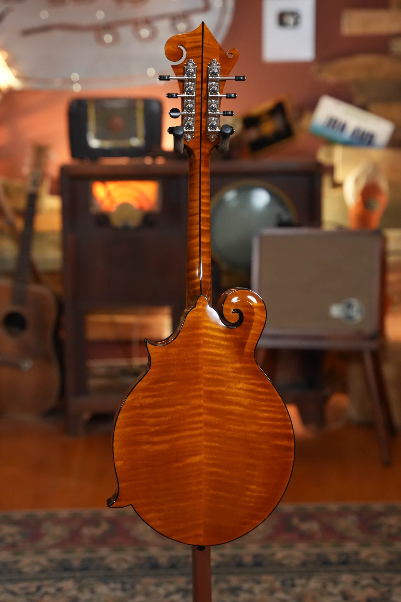 Gold Tone Grandmaster Mandolin Elite - Honey Amber Finish #8439