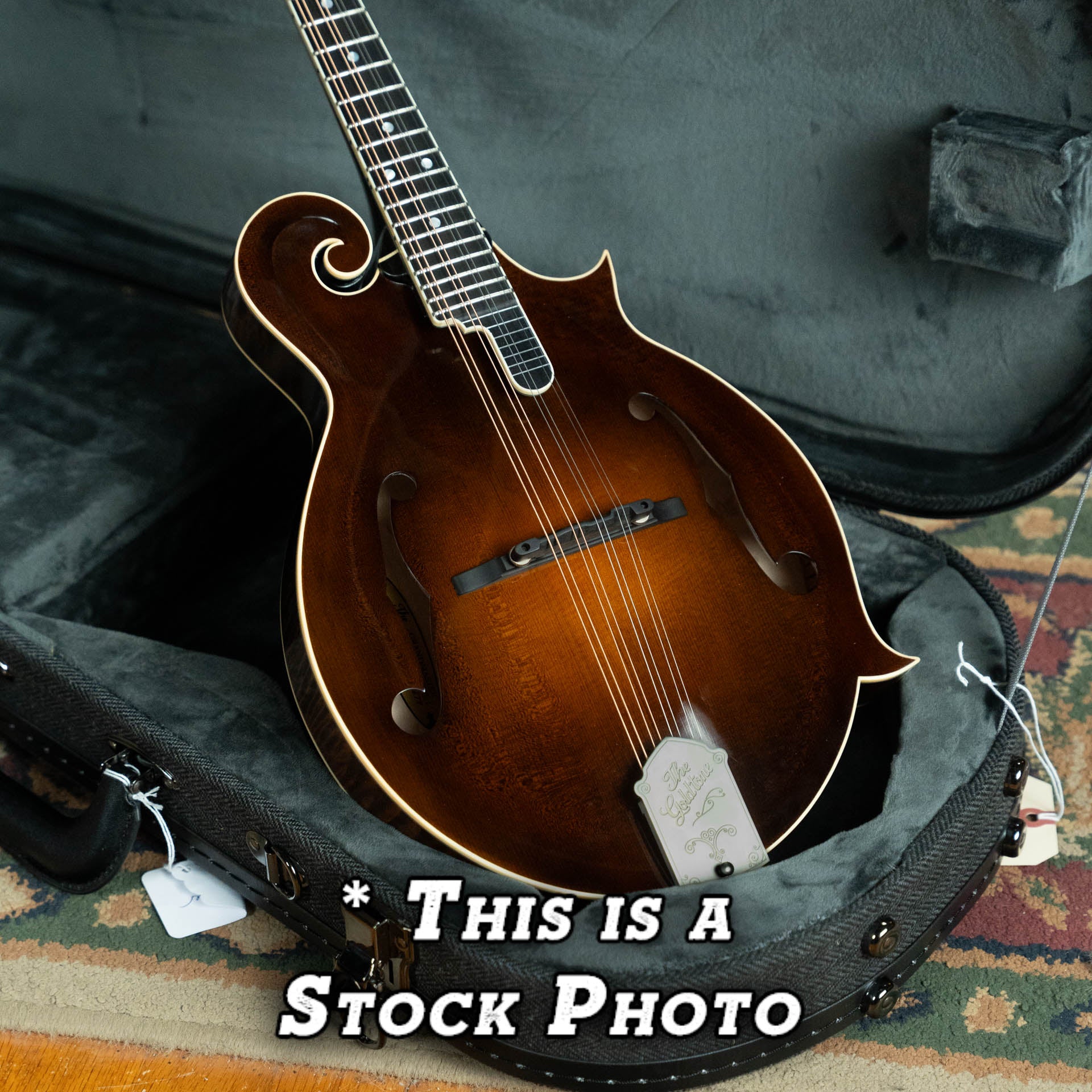 *Pre-Order Deposit ONLY* Gold Tone Grandmaster Mandolin Elite - Vintage Leather Finish