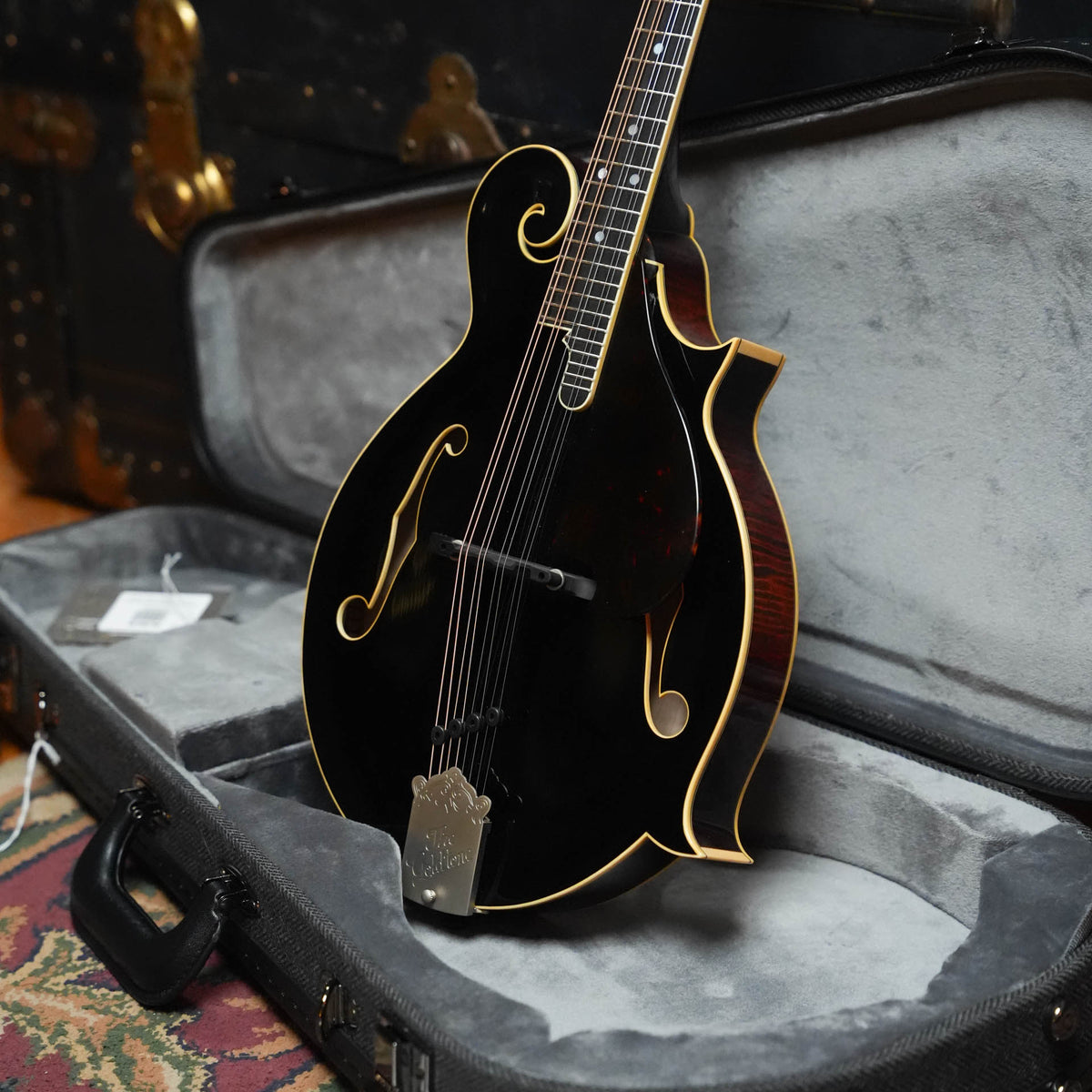 Gold Tone Grandmaster Mandolin Victorian Varnish Finish #9355