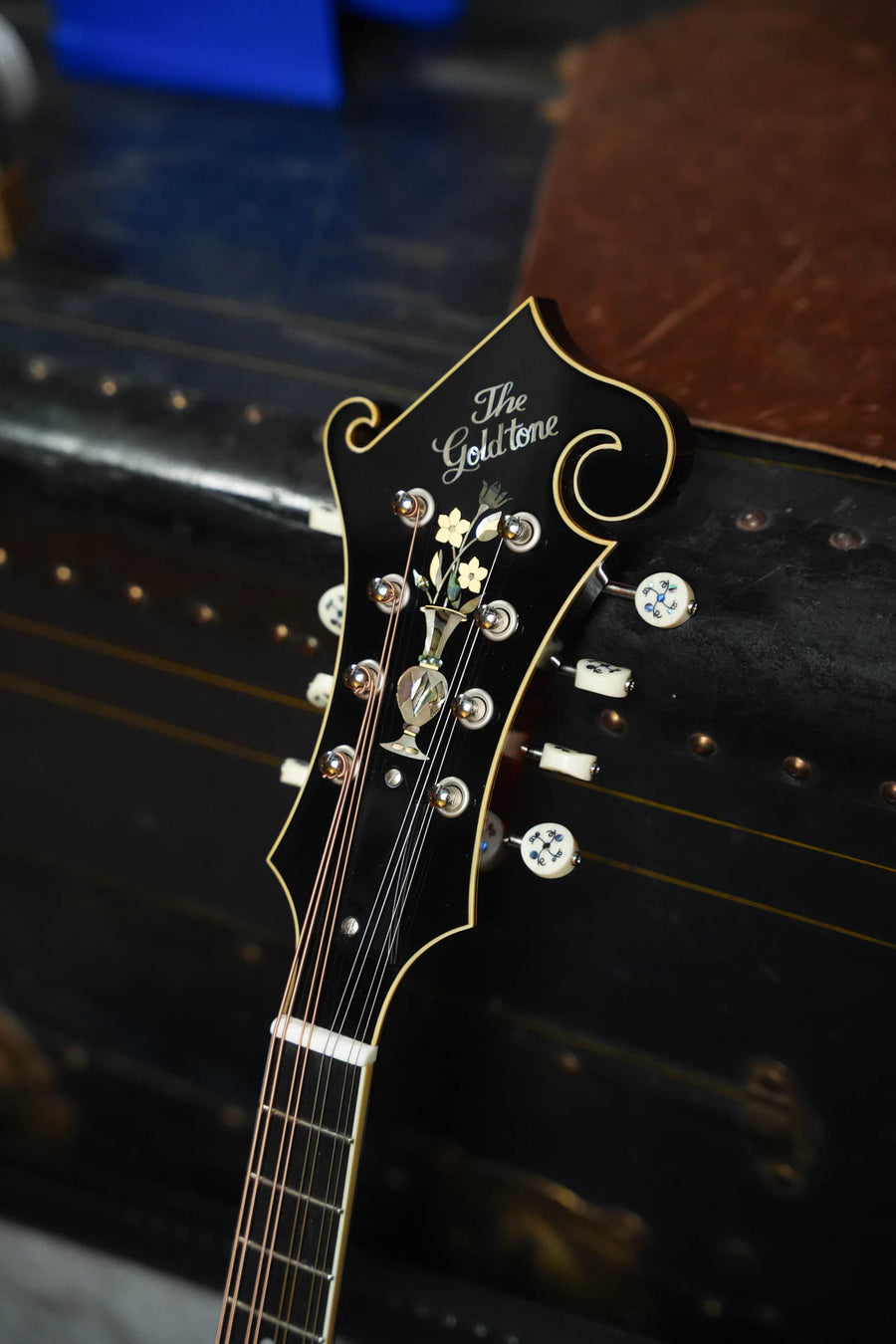 Gold Tone Grandmaster Mandolin Victorian Varnish Finish #9355