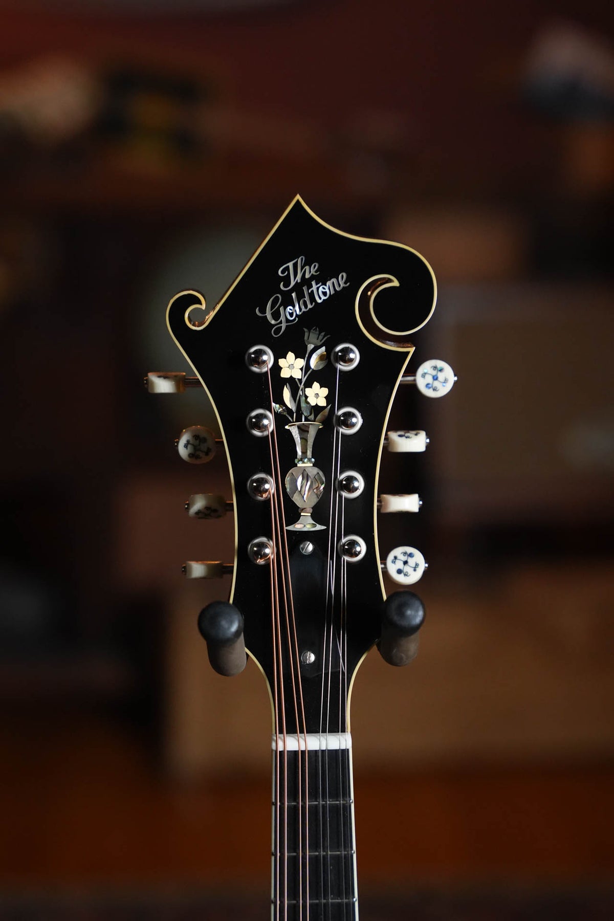 Gold Tone Grandmaster Mandolin Victorian Varnish Finish #9355