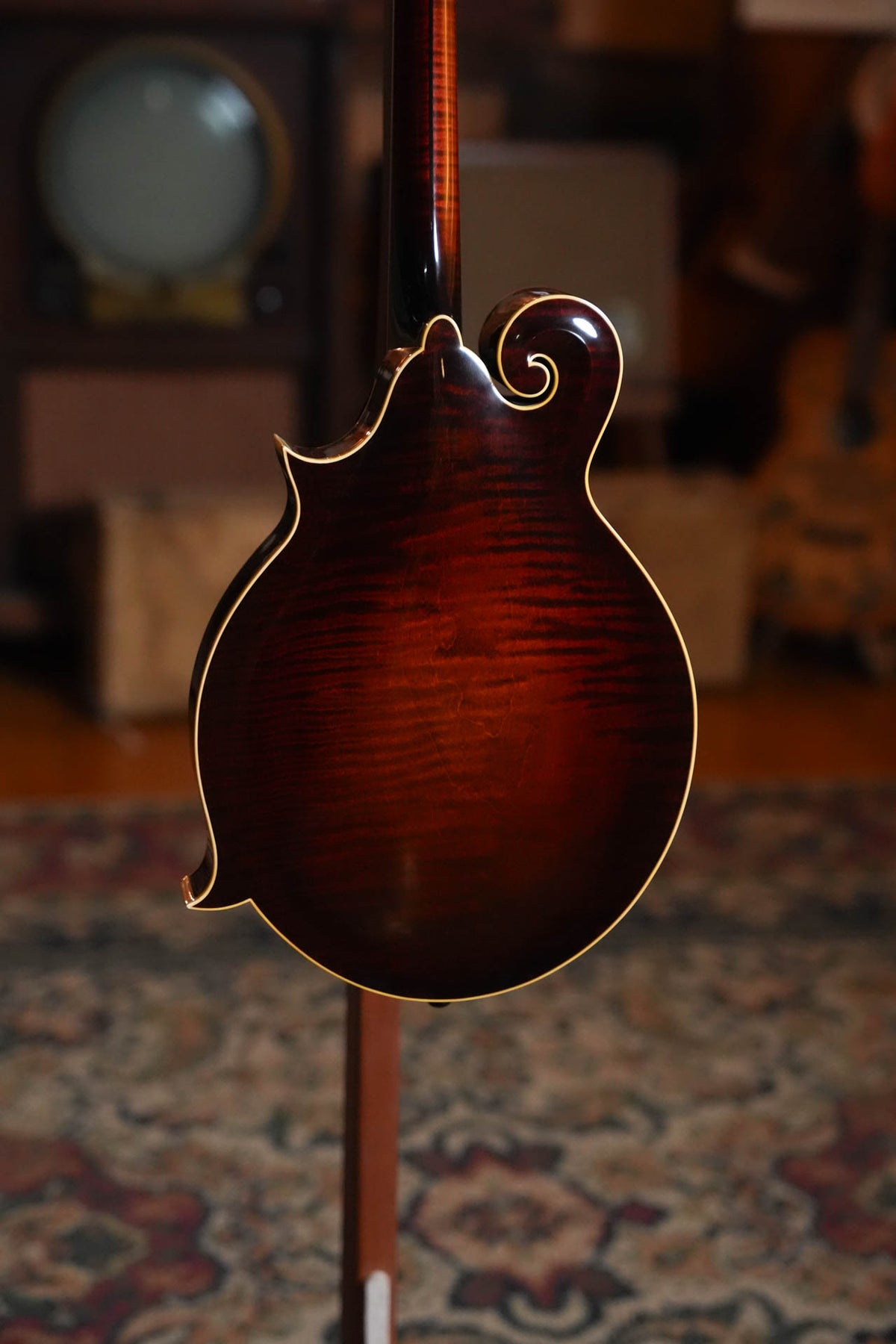 Gold Tone Grandmaster Mandolin Victorian Varnish Finish #9355