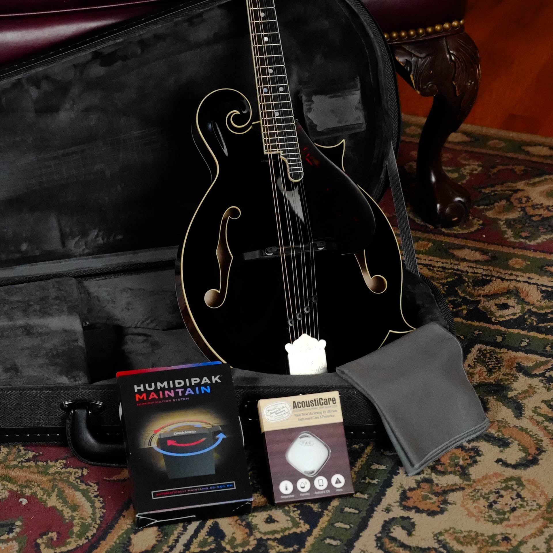 Gold Tone Grandmaster Mandolin Victorian #5279