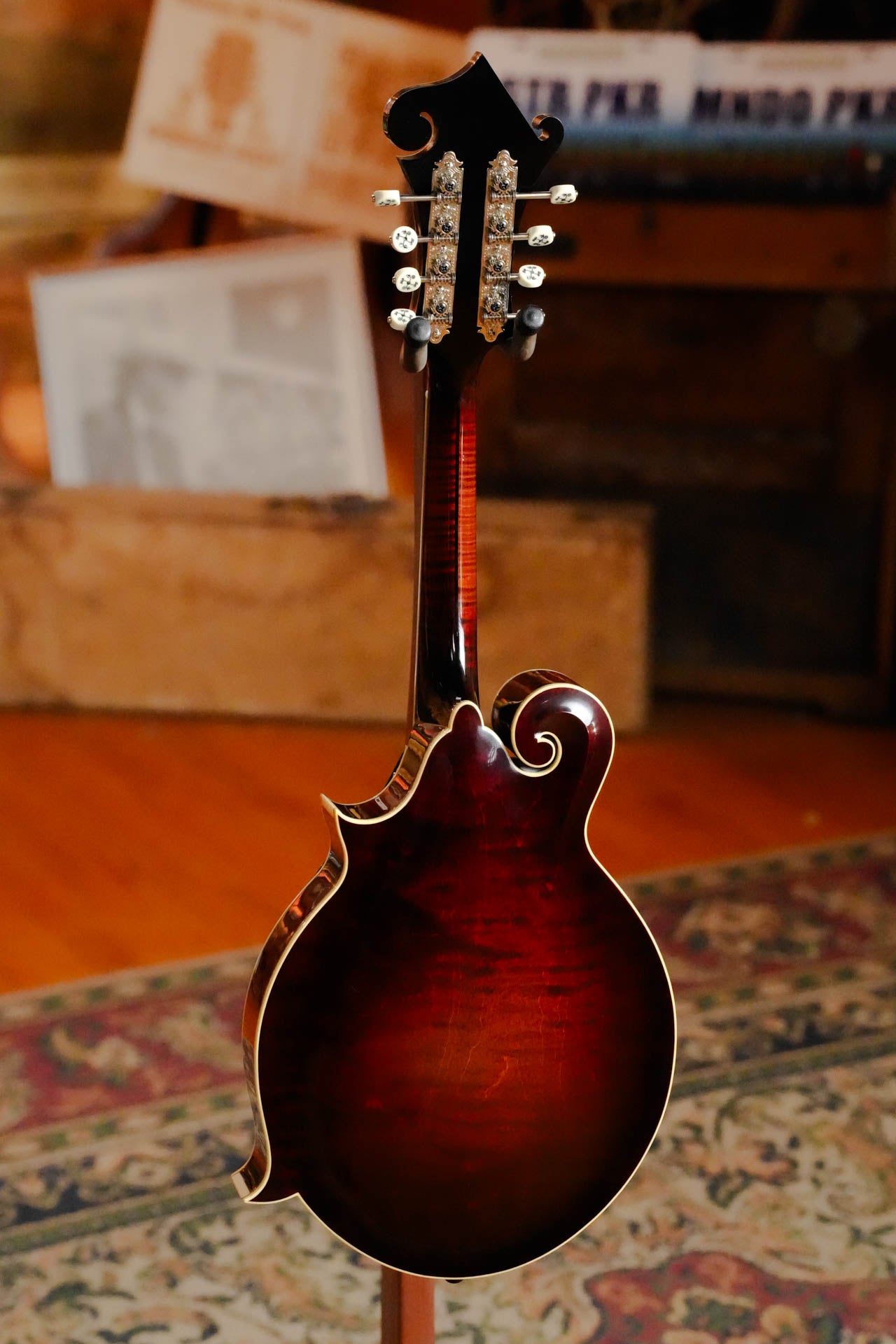 Gold Tone Grandmaster Mandolin Victorian #5279