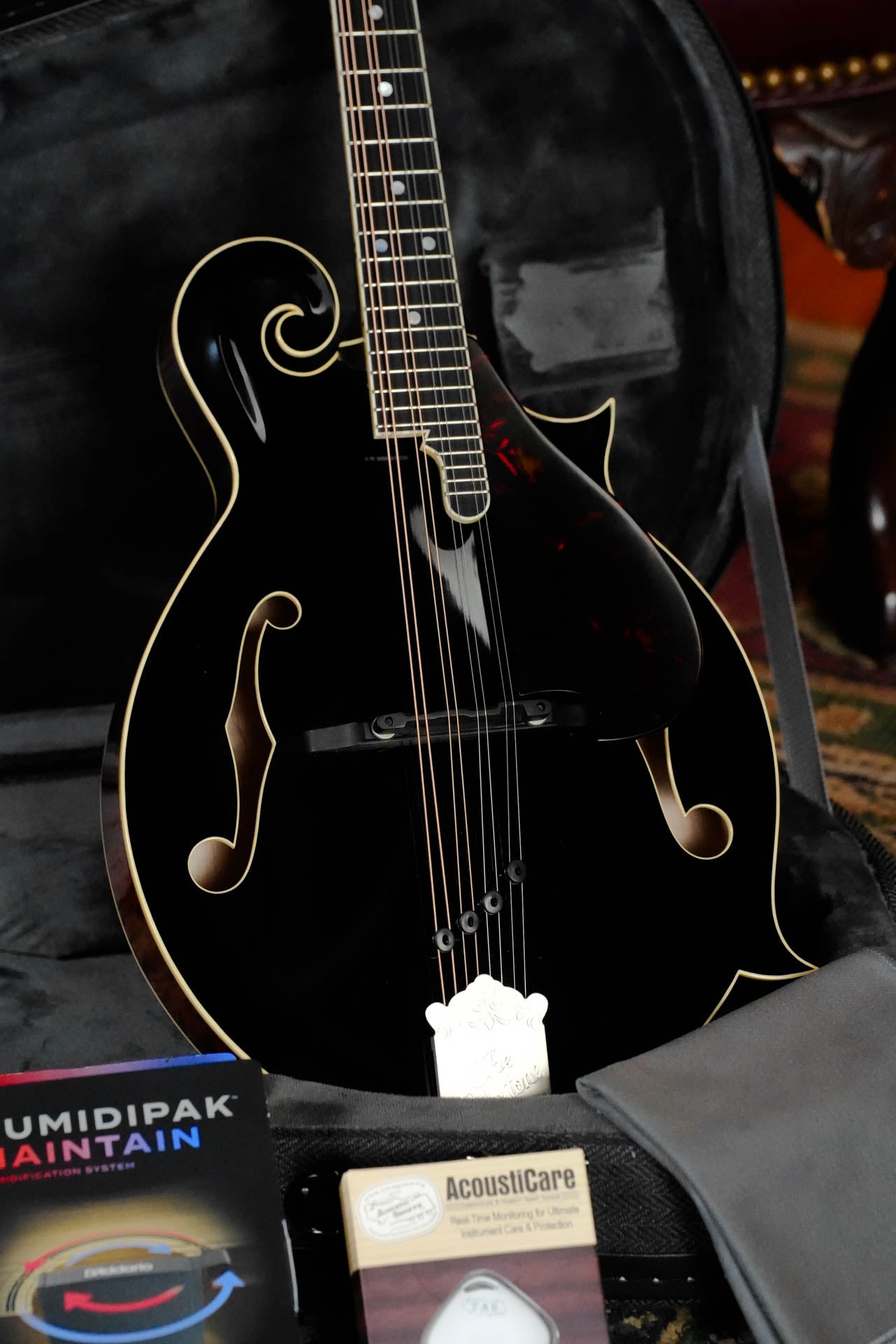 Gold Tone Grandmaster Mandolin Victorian #5279