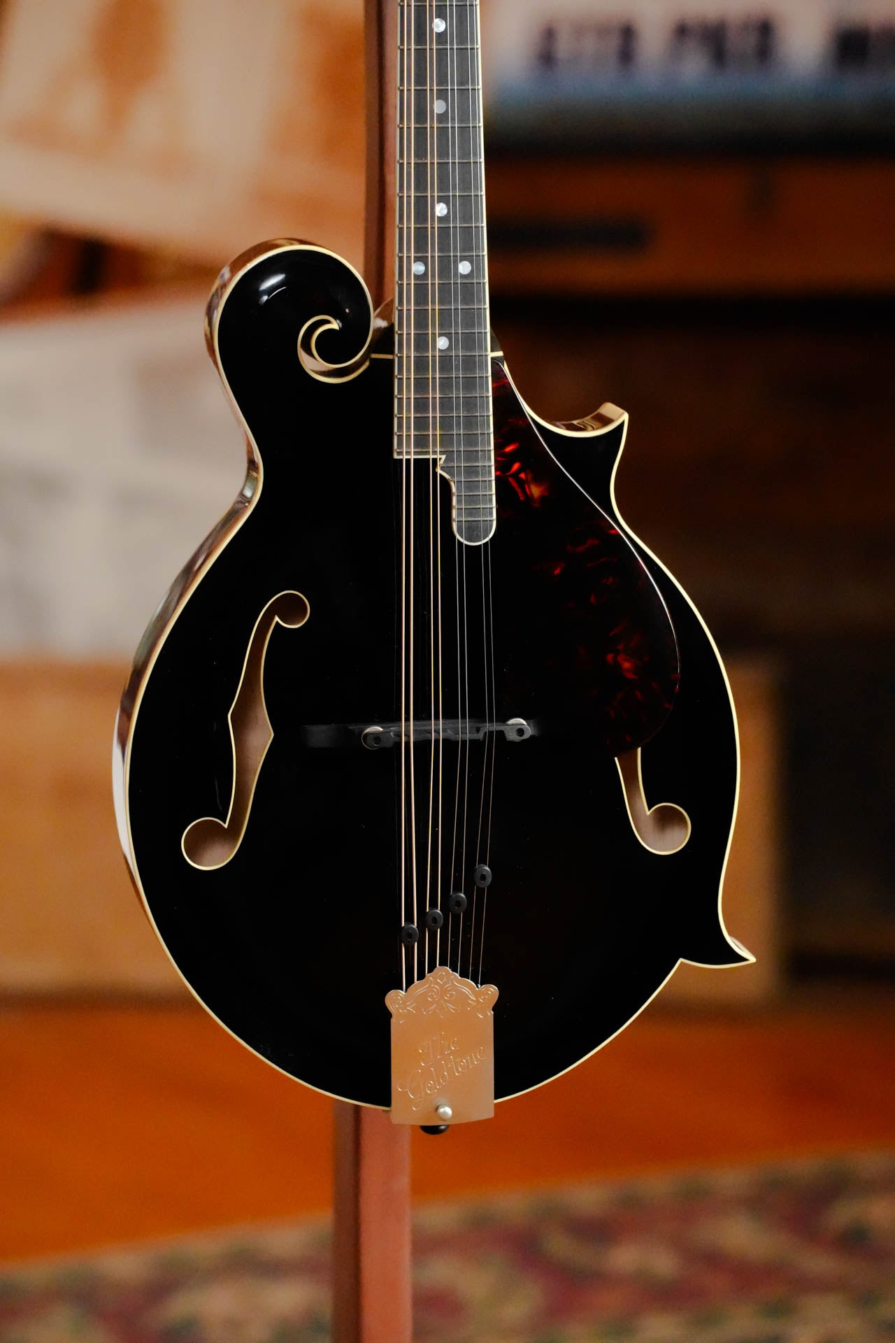 Gold Tone Grandmaster Mandolin Victorian #5279