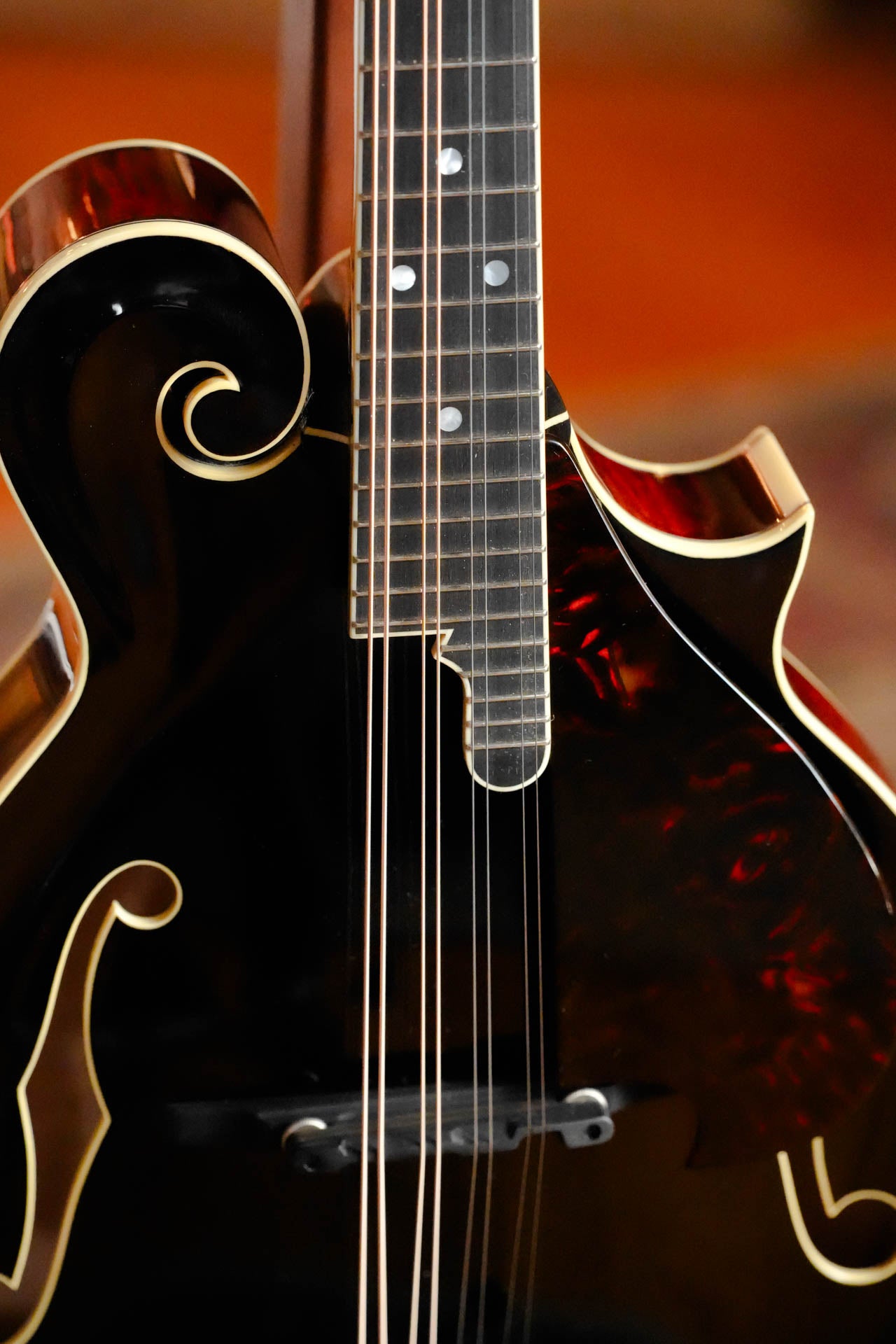 Gold Tone Grandmaster Mandolin Victorian #5279