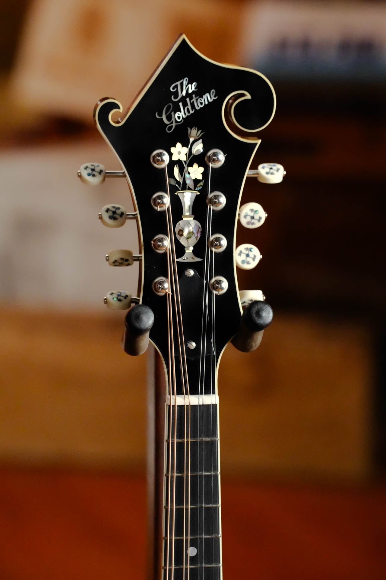 Gold Tone Grandmaster Mandolin Victorian #5279