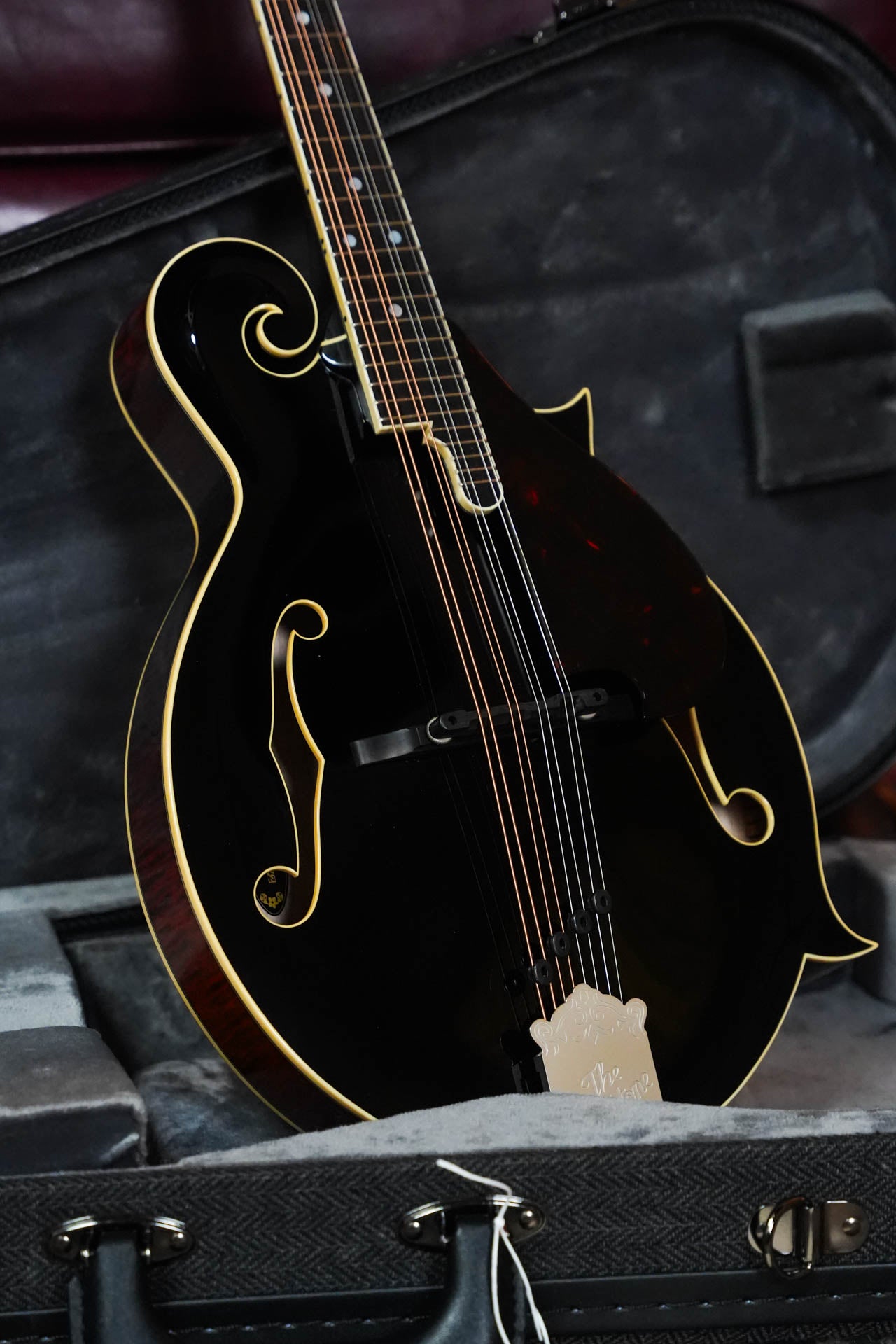 Gold Tone Grandmaster Mandolin Victorian #8442