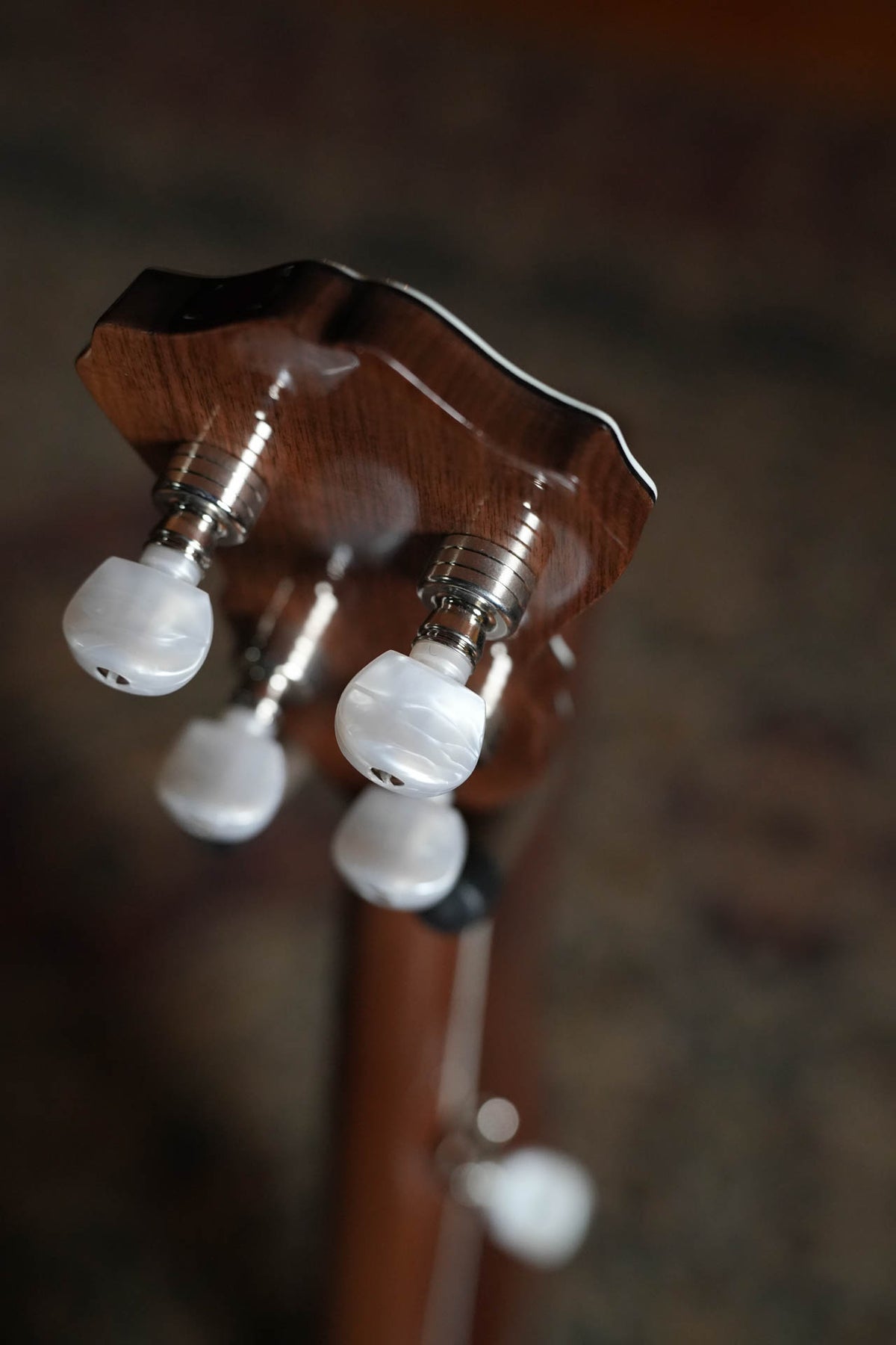 Gold Tone Mastertone OB-12 Top Tension Resonator Banjo #8307