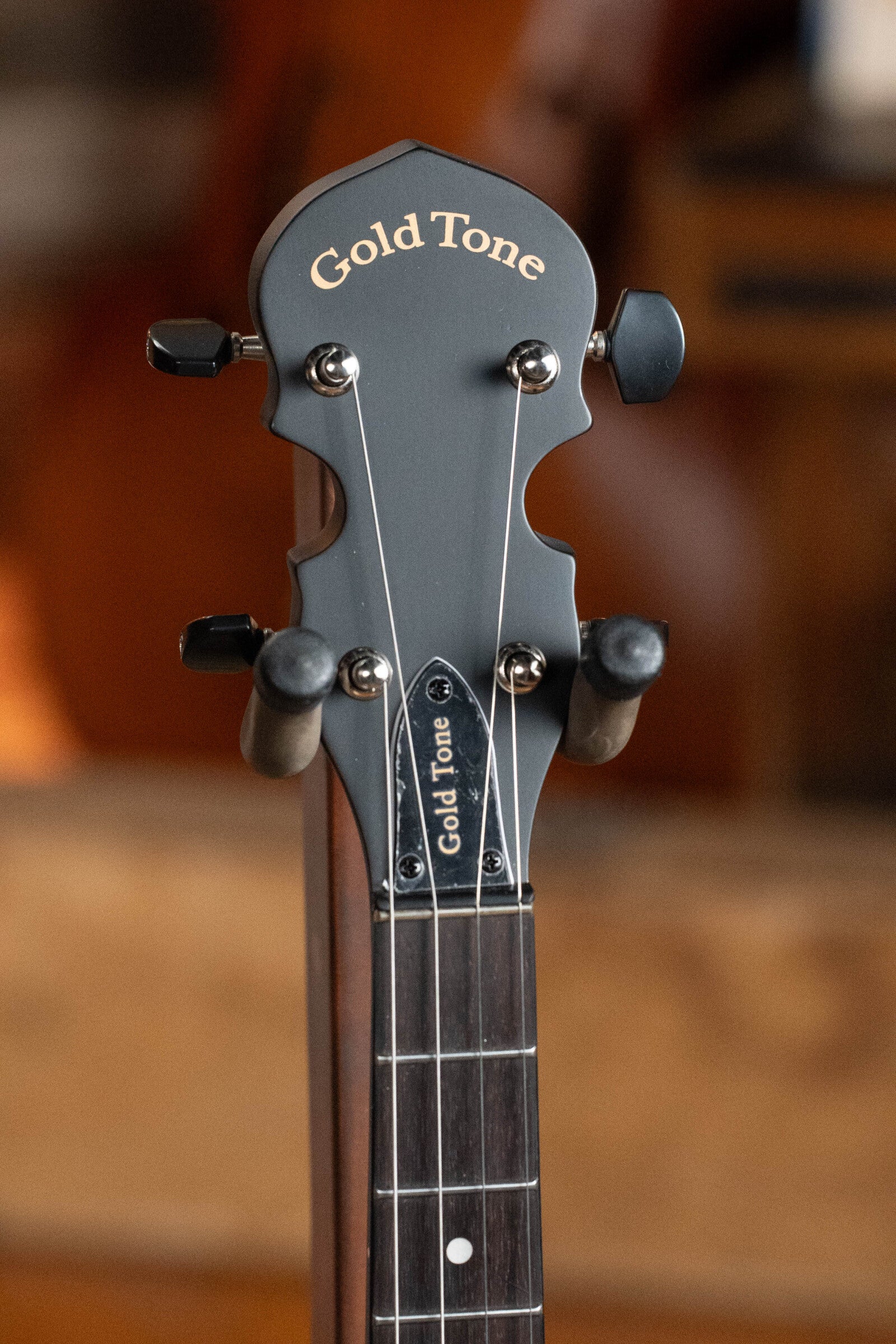 Gold Tone AC Mini 5-String Composite Banjo #8602