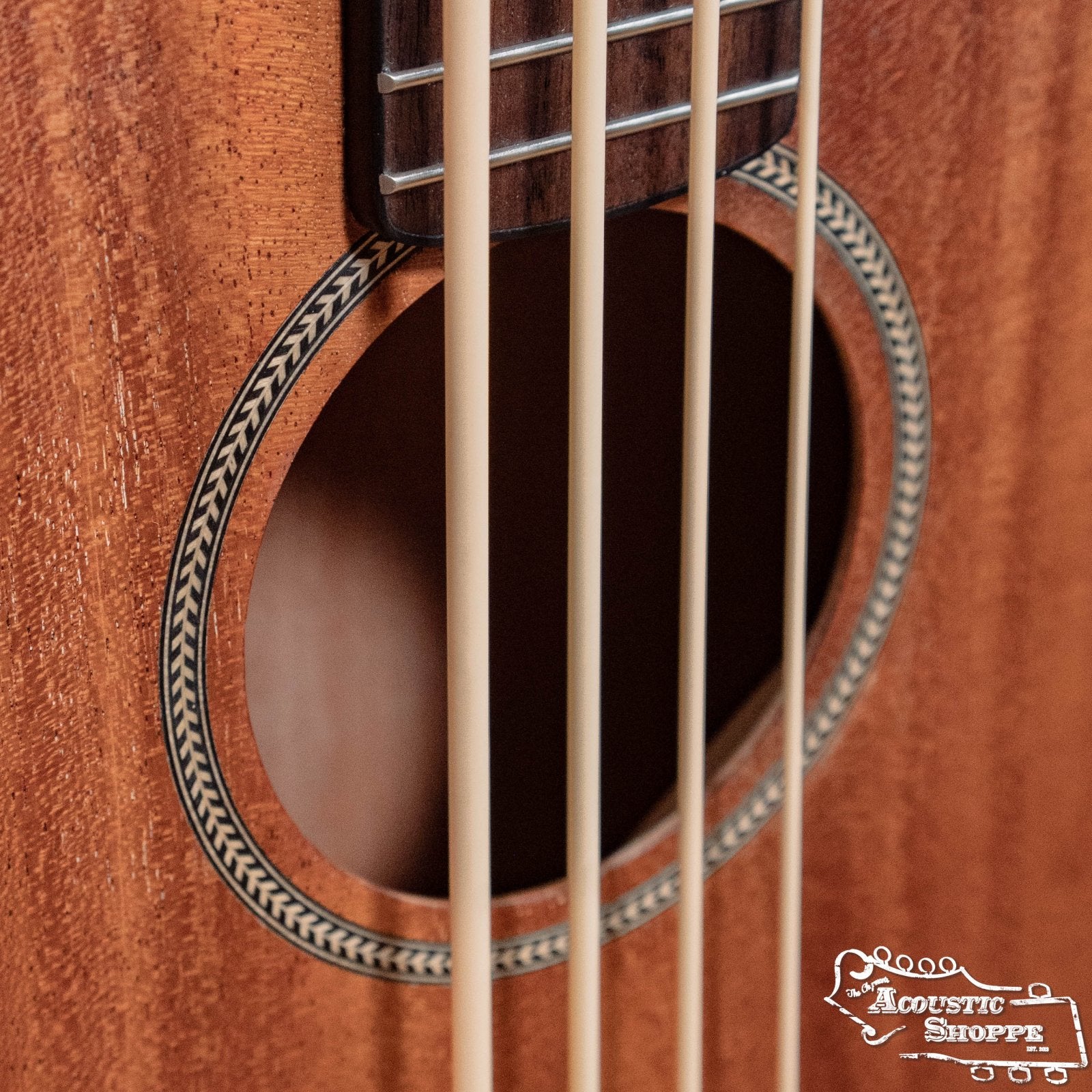 Gold Tone M-Bass 23-Inch Scale Acoustic-Electric MicroBass with Gig Bag #2018