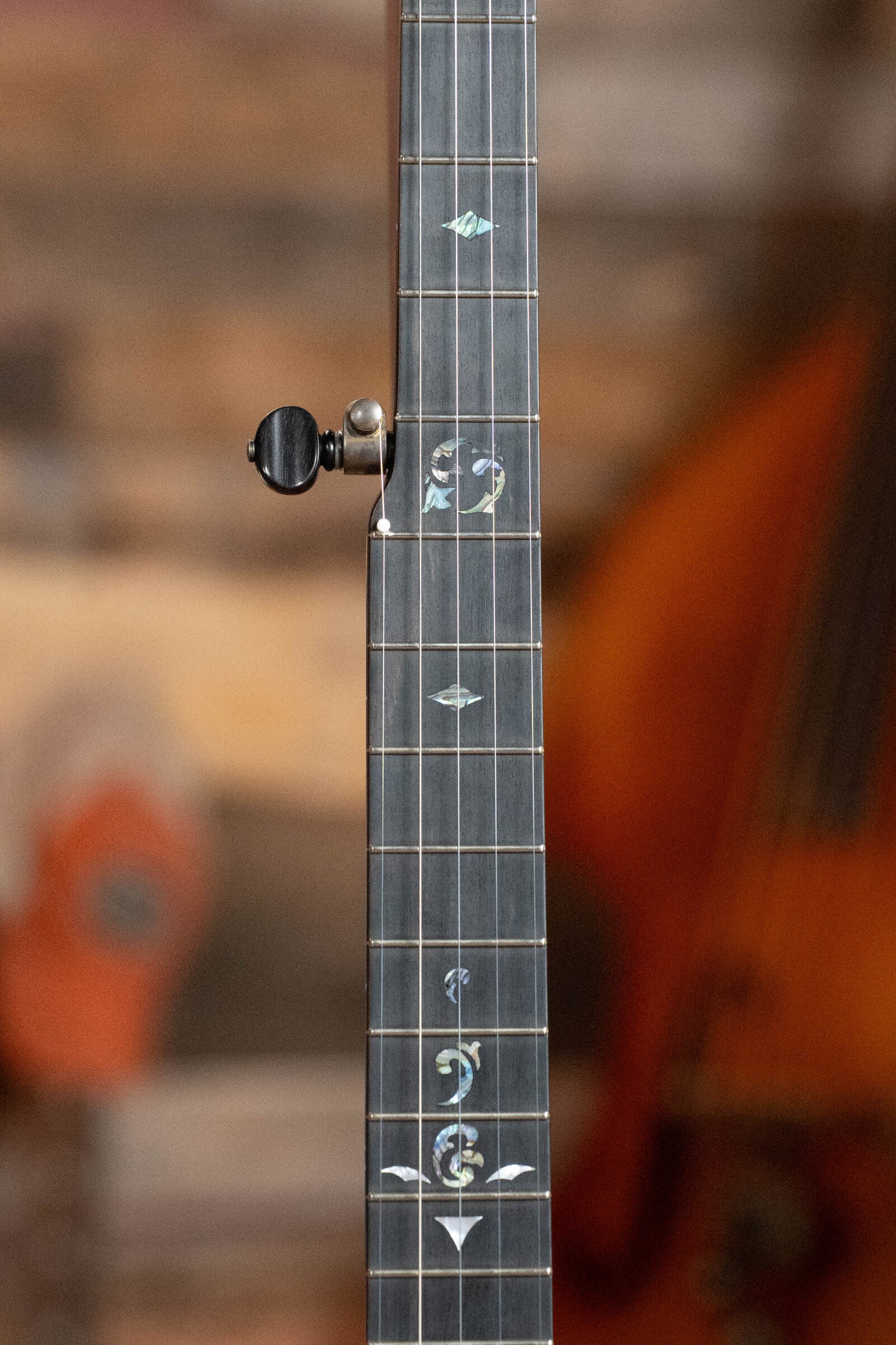 Gold Tone OME Juniper 5-String Open-Back Banjo #5100