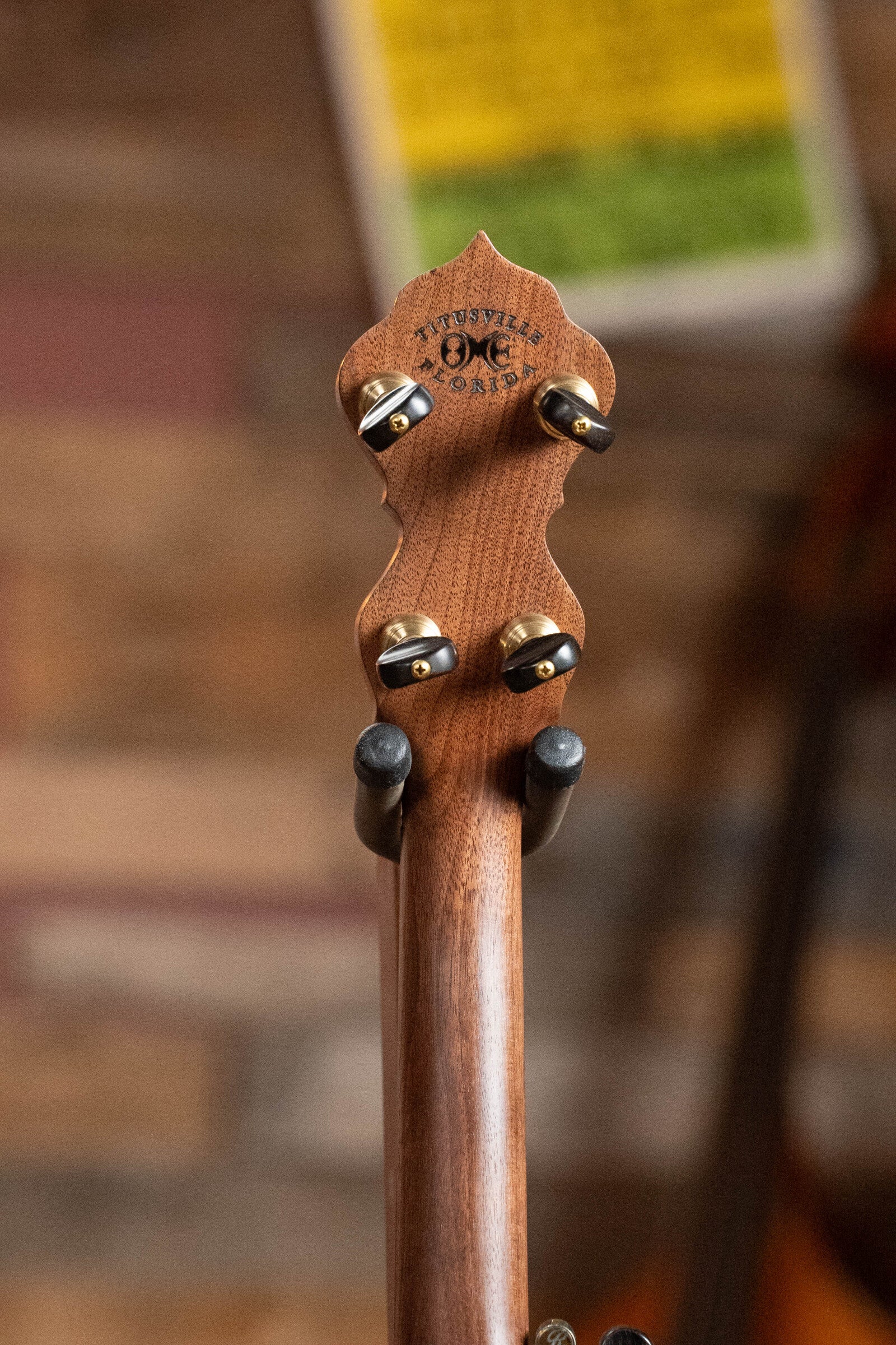 Gold Tone OME Juniper 5-String Open-Back Banjo #5100