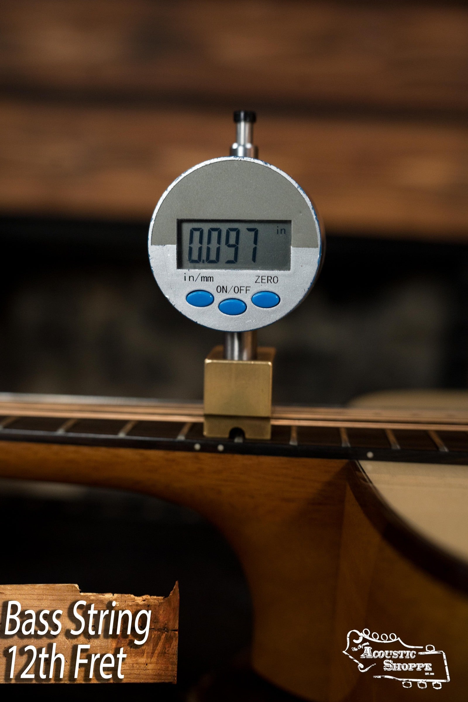 KR Strings Scholar Spruce/Mahogany Acoustic Octolindo #0001