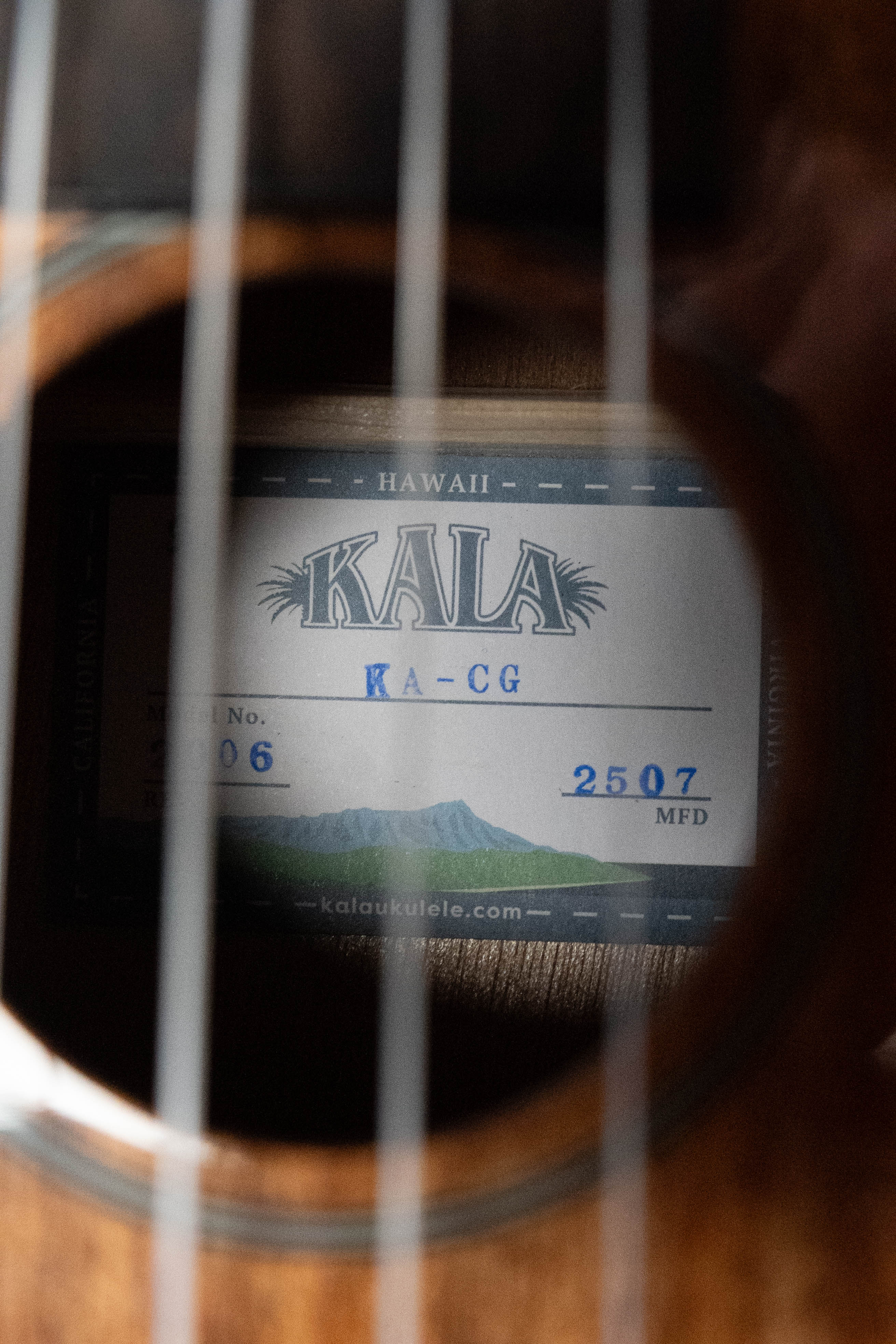 Kala Gloss Mahogany Concert Ukulele