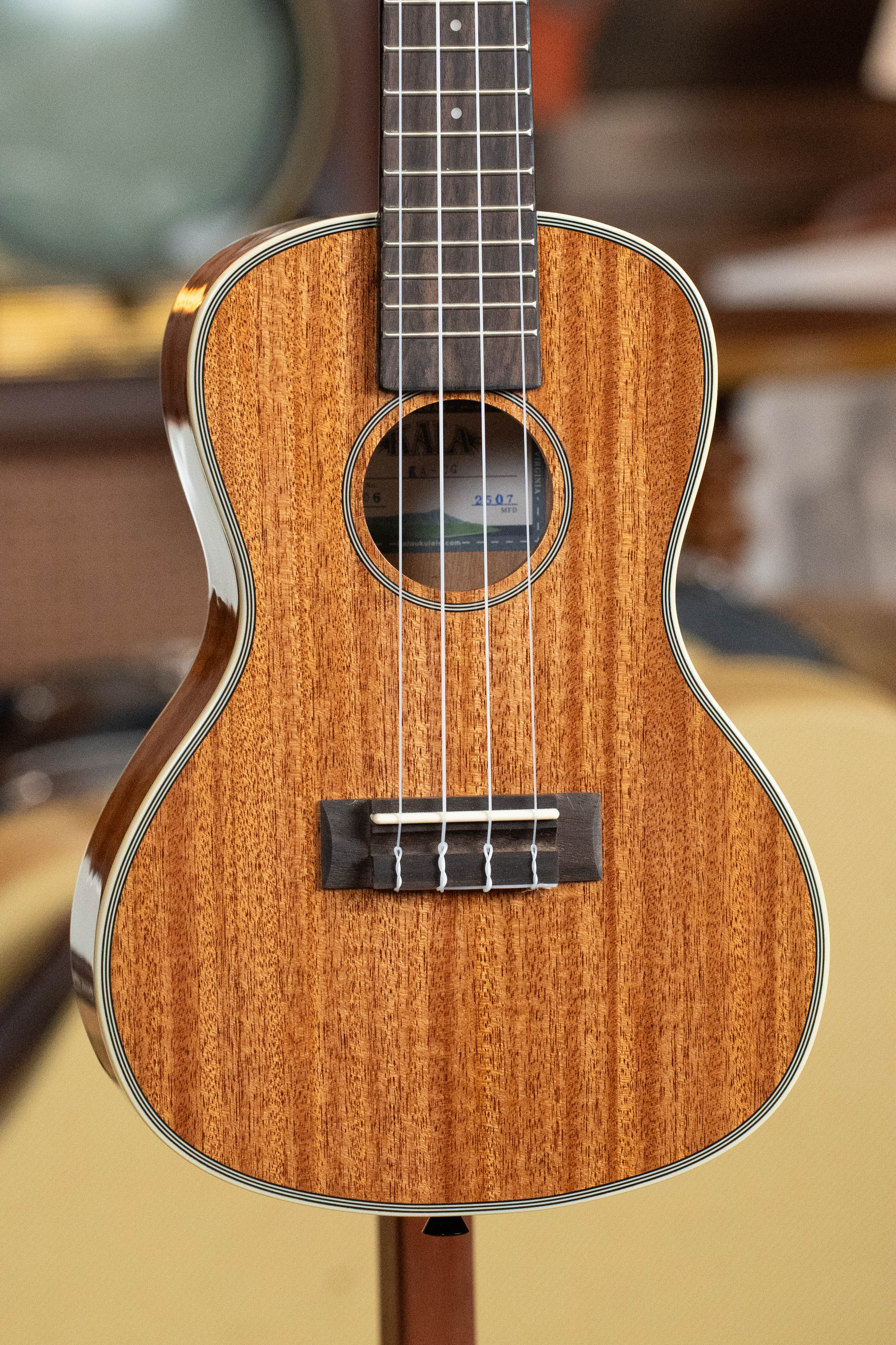Kala Gloss Mahogany Concert Ukulele