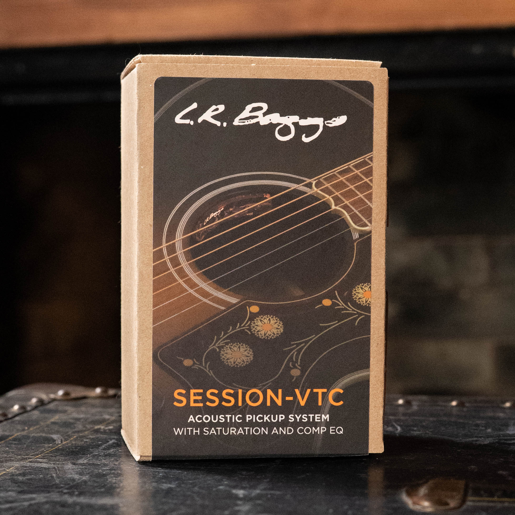 L.R. Baggs Session-VTC