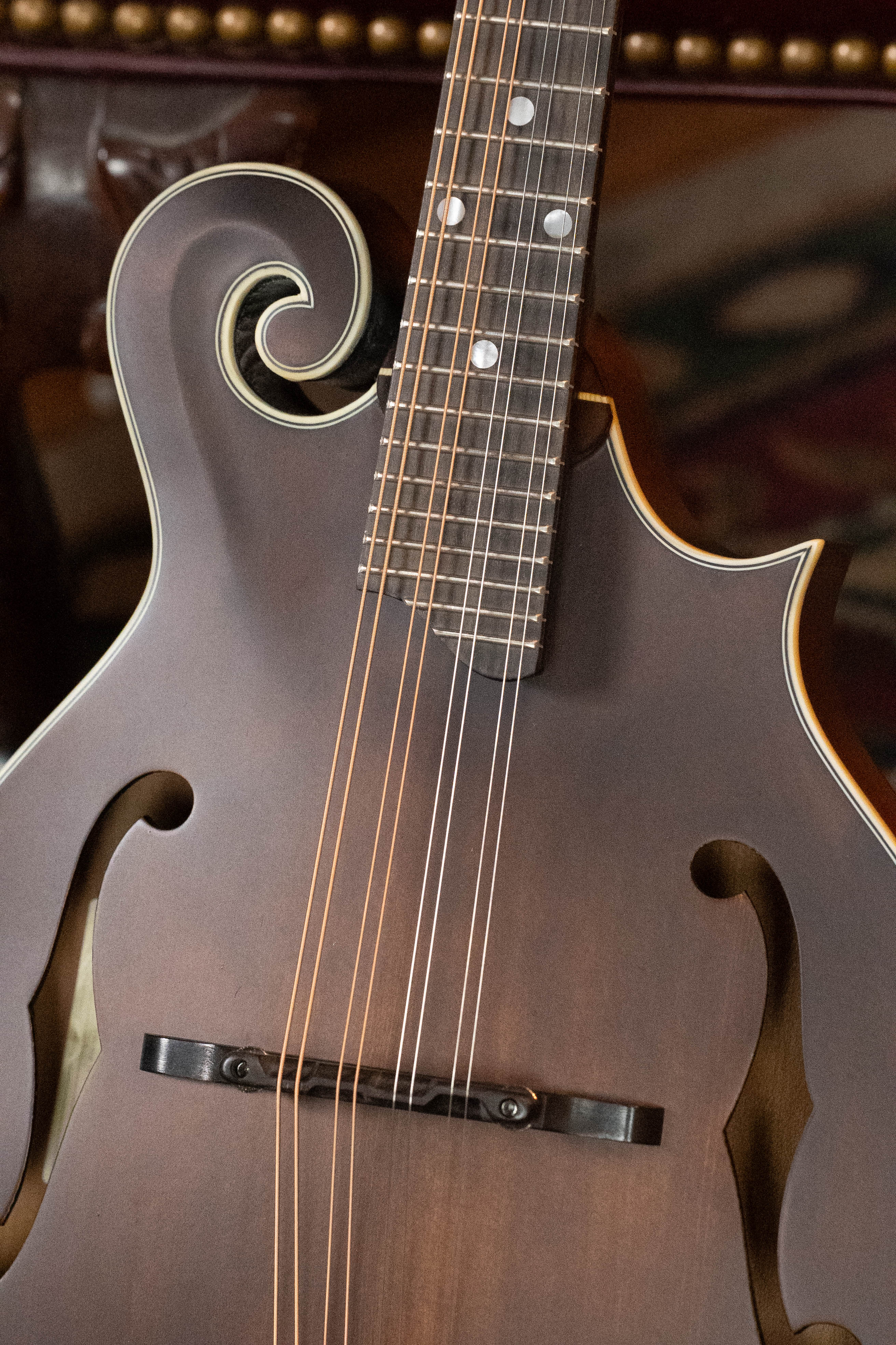 Close-up of the Eastman Guitars Eastman MD315 F-Style Hand-Carved Mandolin #0917, featuring elegant scrollwork near the neck, f-holes on the body, metal strings, and highlighting its expert hand-carved craftsmanship and rich wood grain.