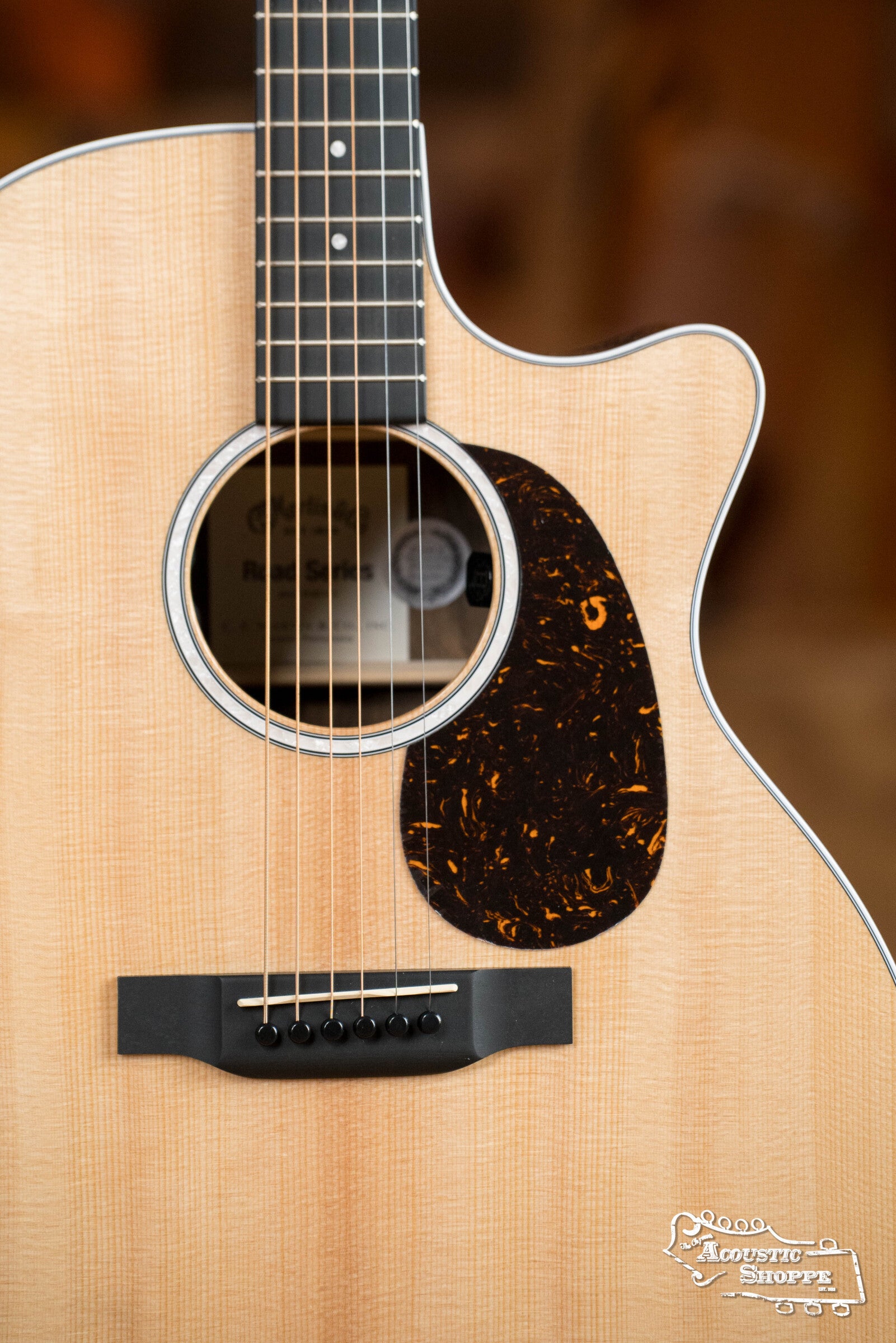 Martin GPC-13E Spruce/Ziricote Grand Performance Guitar /Martin E-1 Pickup #4917