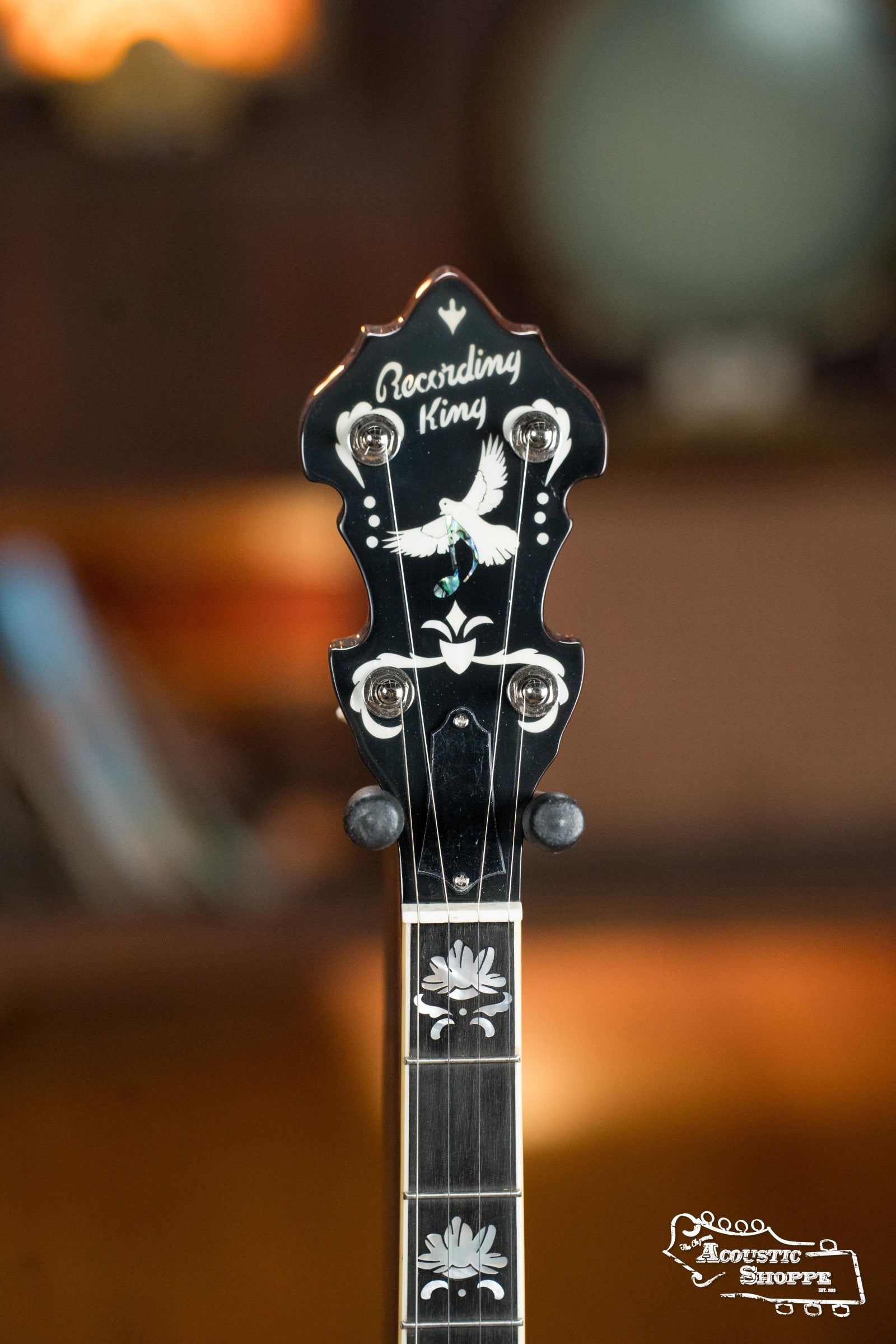 Recording King Carl Jackson Lonesome Dove Signature Banjo w/Spikes #0029