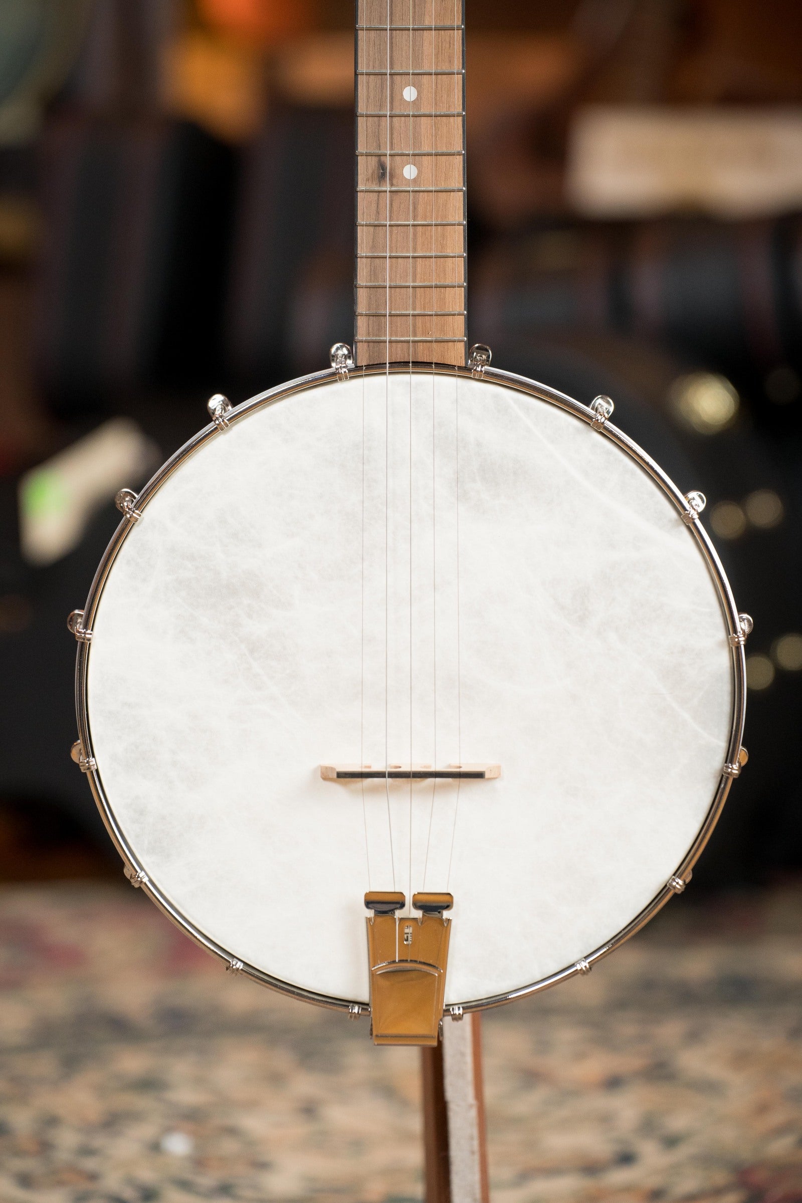 Recording King RKOH-05 Dirty 30's Open Back Banjo #2851