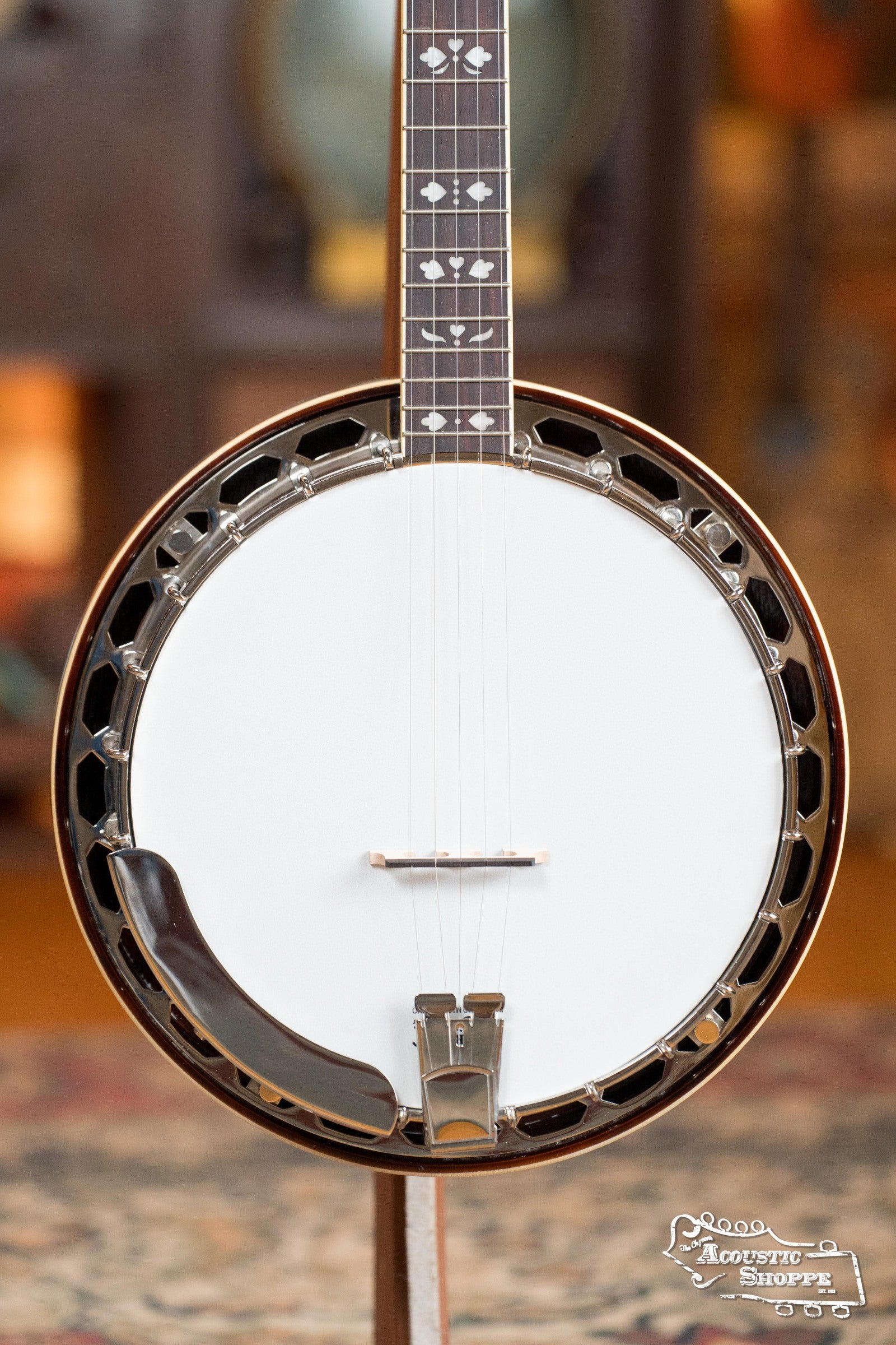 Recording King RK-R20 Songster Resonator Banjo #0241