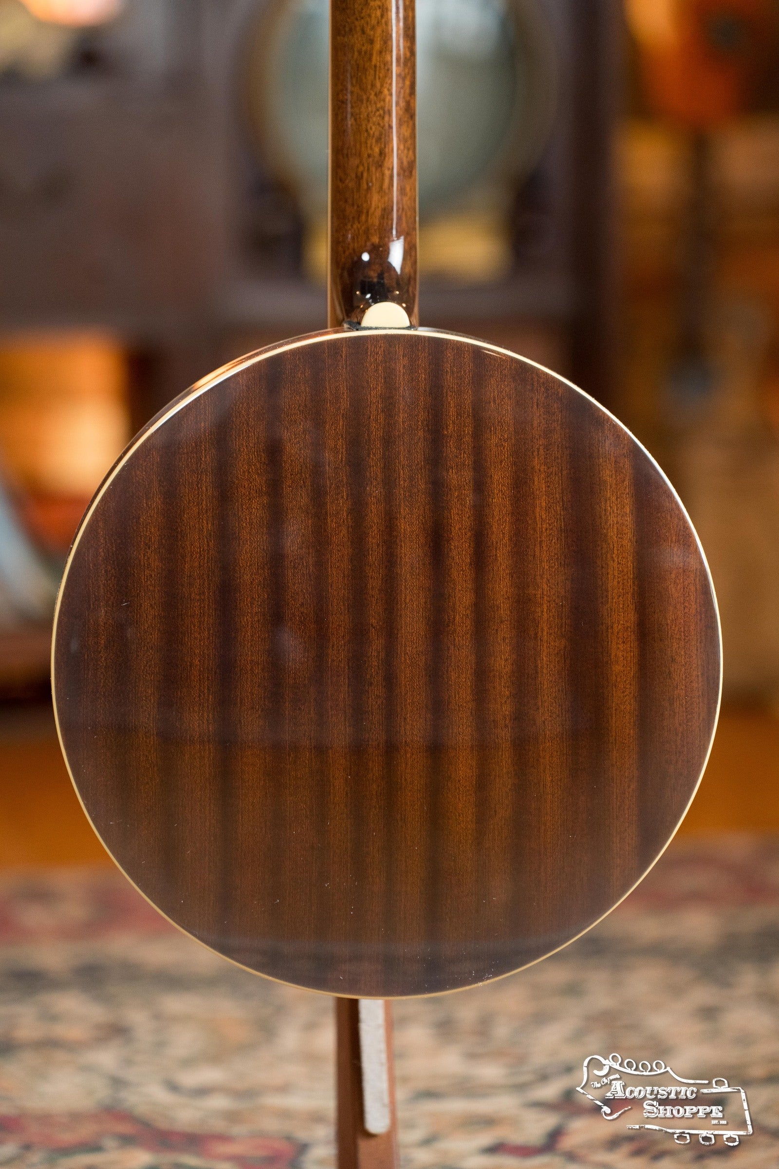 Recording King RK-R20 Songster Resonator Banjo #0241