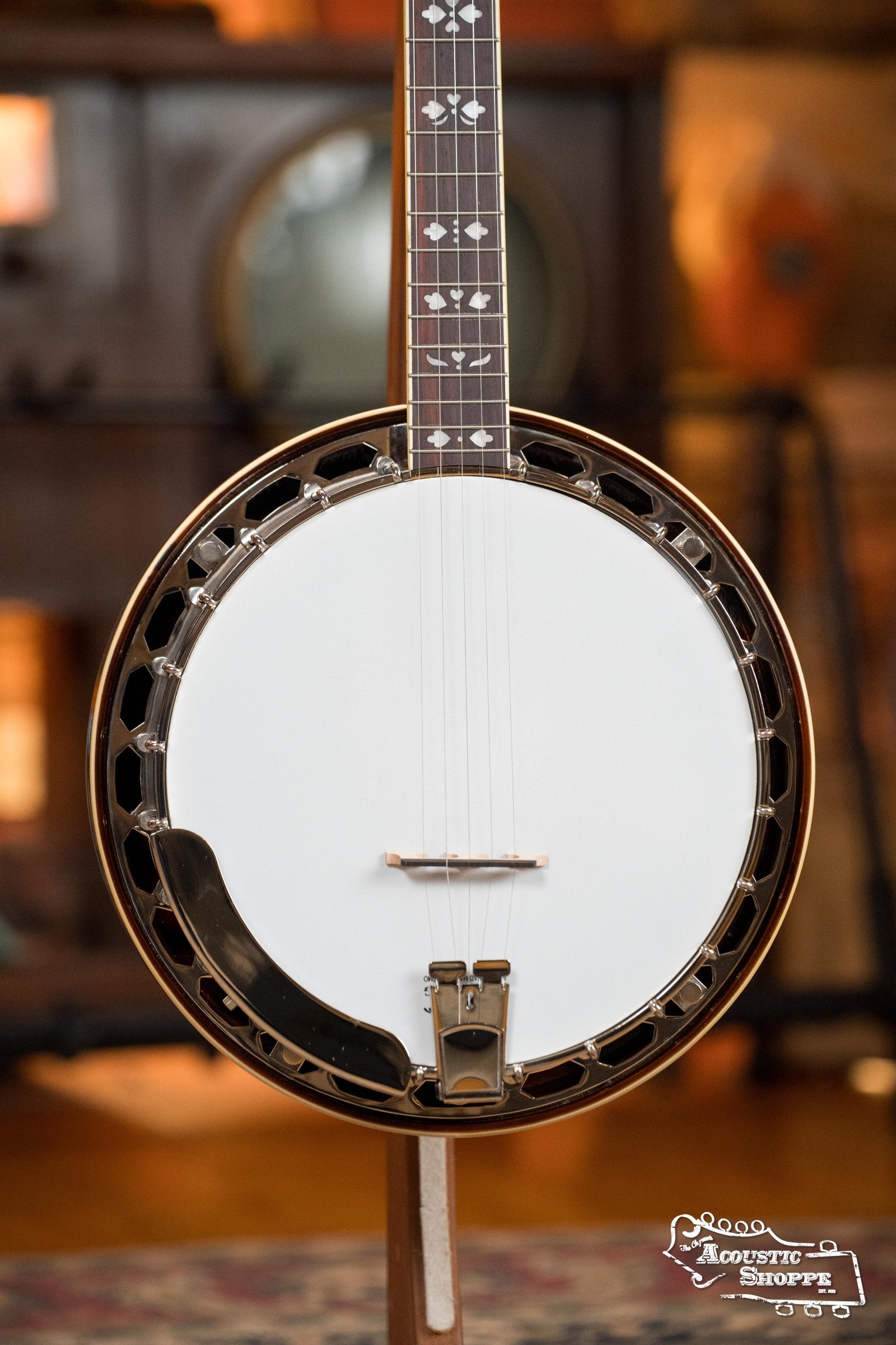 Recording King RK-R20 Songster Resonator Banjo #0255