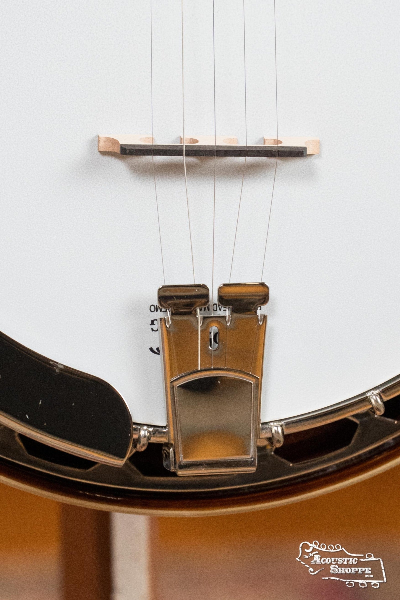 Recording King RK-R20 Songster Resonator Banjo #0255