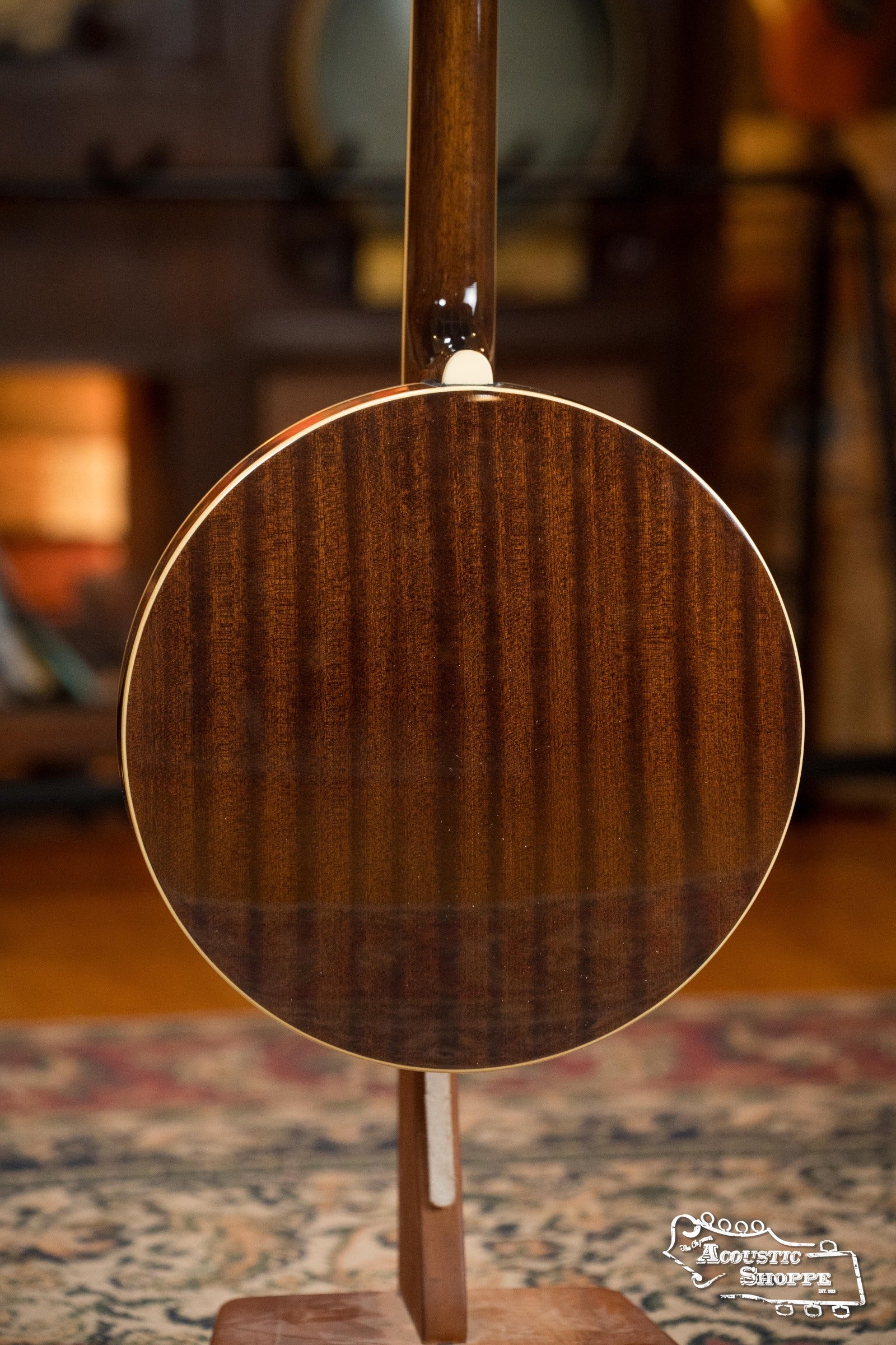 Recording King RK-R20 Songster Resonator Banjo #0255