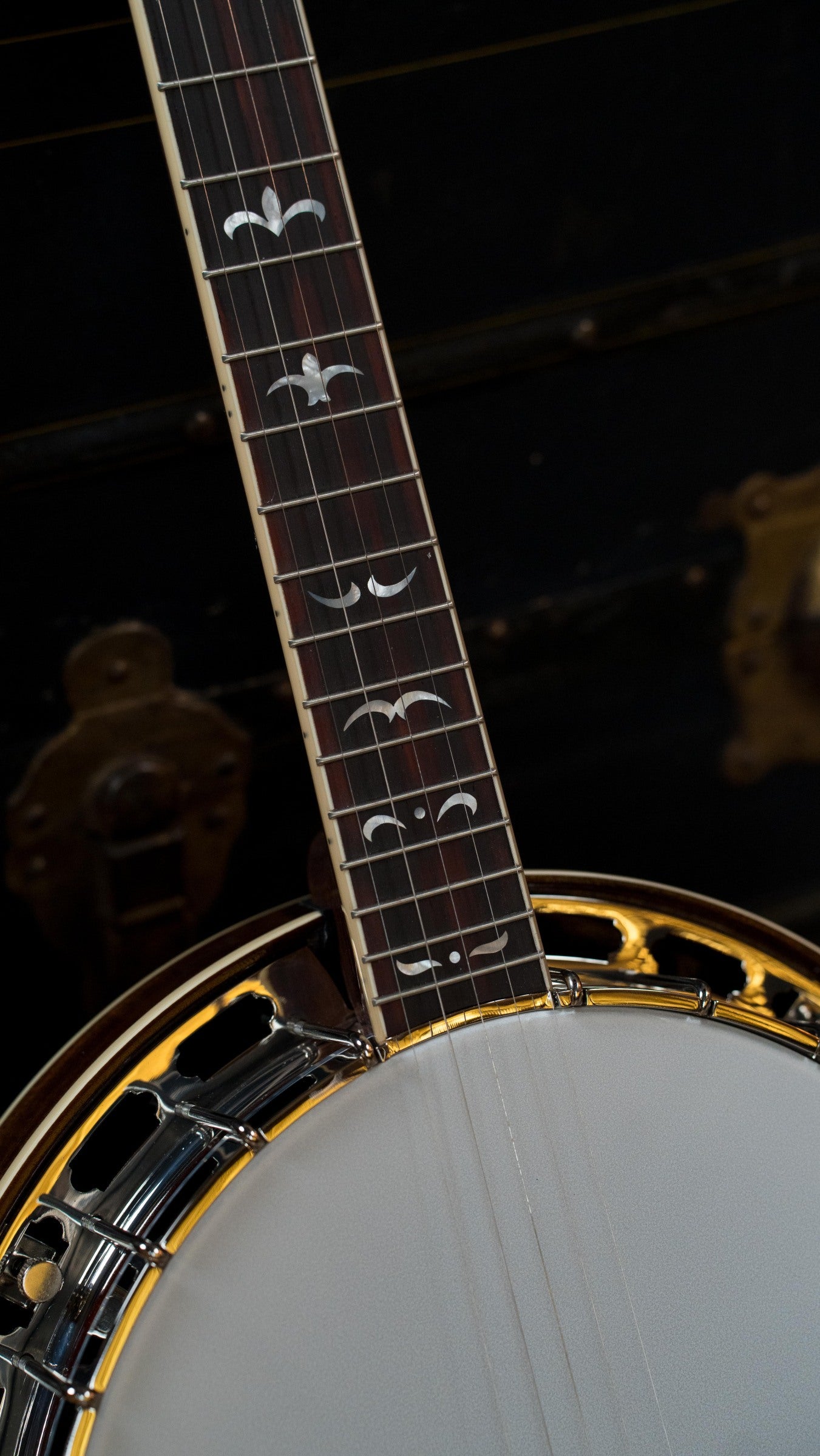 Recording King RK-R36-BR Madison Resonator Banjo with Mahogany Tone Ring #0330