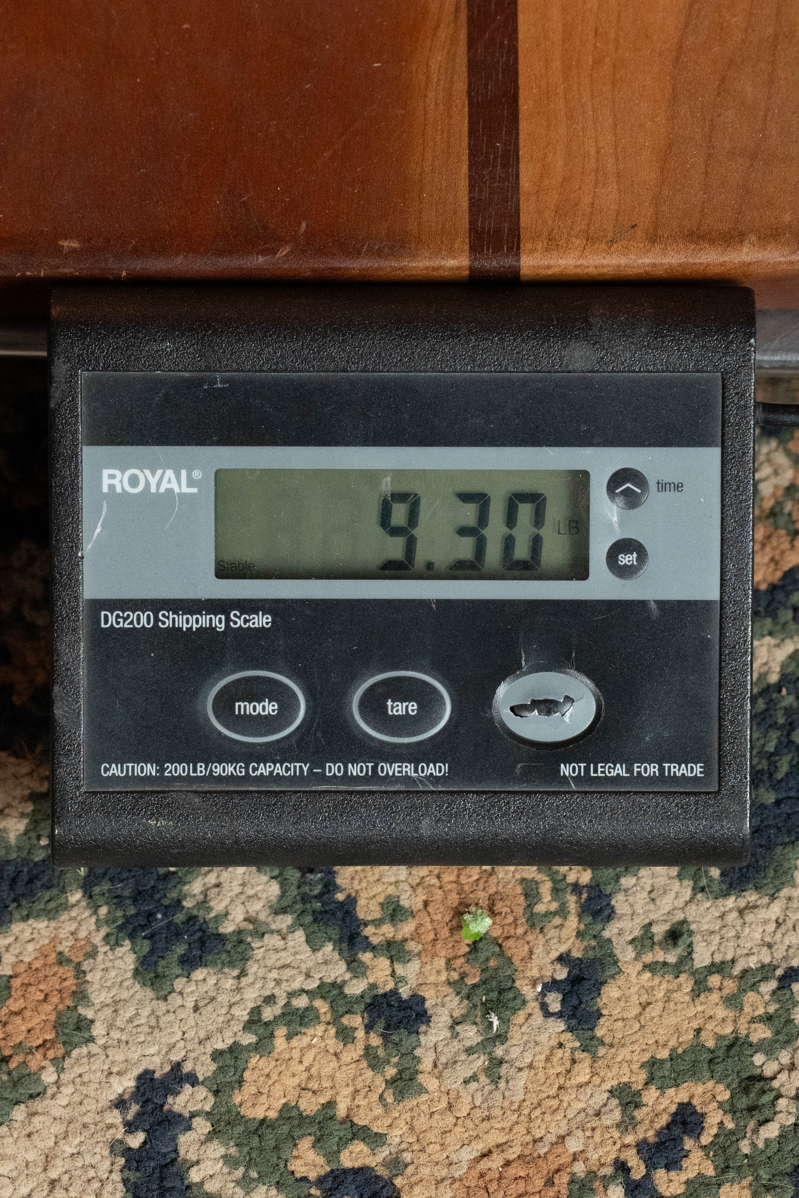 (Used) Republic Tricone Metal Square-neck Guitar