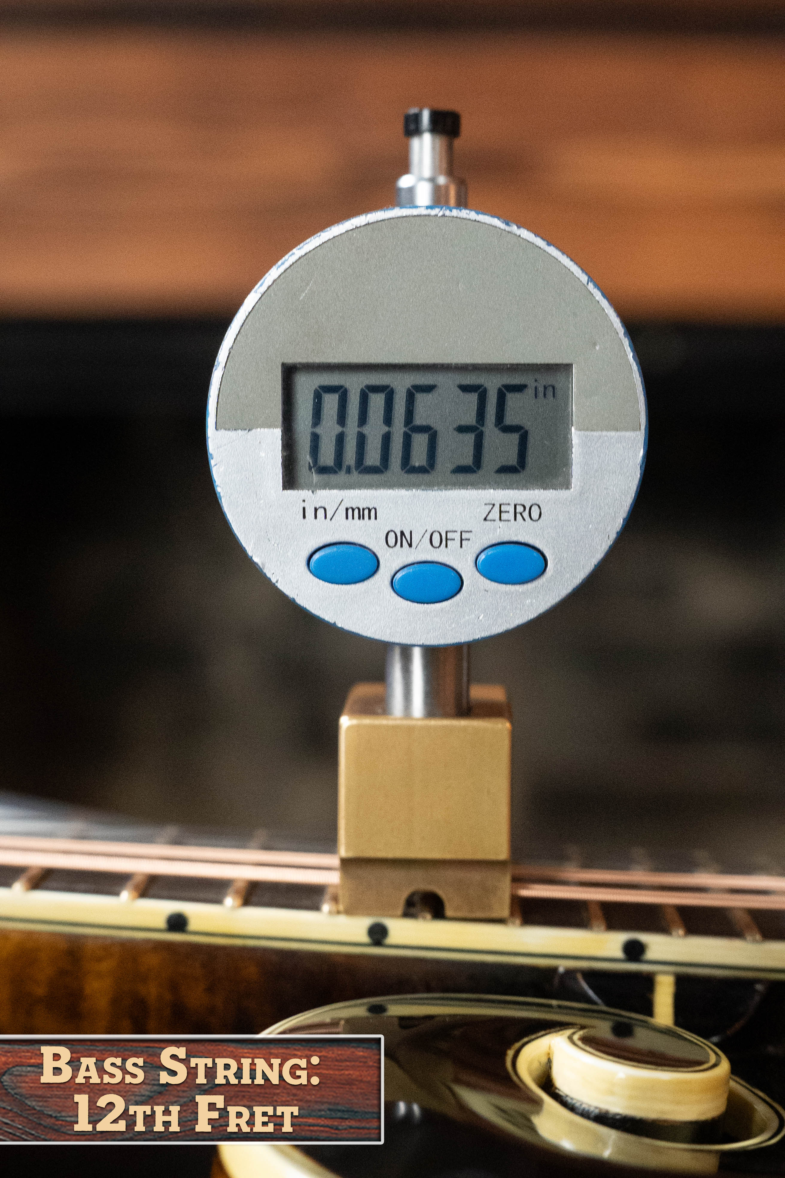 Rychlik Aged Adirondack/Sugar Maple Sunburst F-Style Mandolin #006