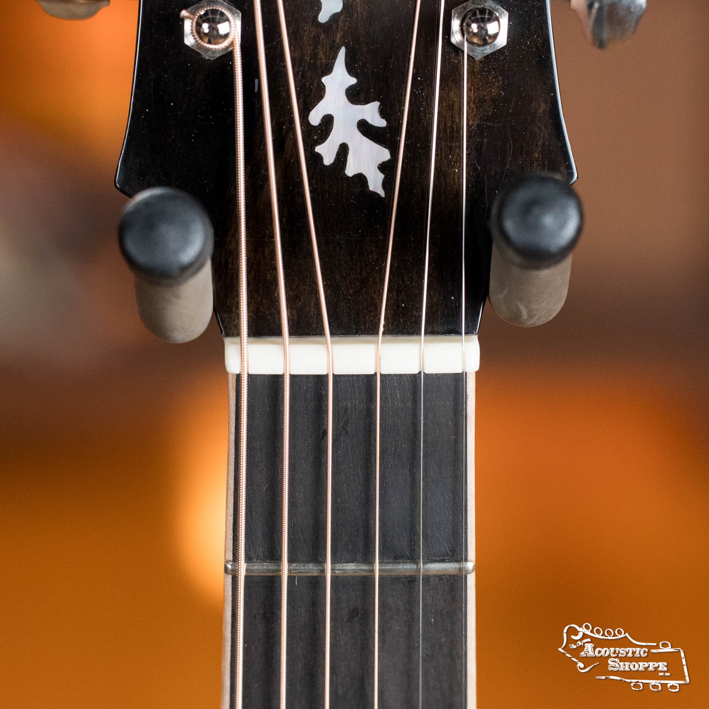 Squirrel Hunter Ornate Rosewood Dreadnought - Torrified Sitka Spruce/East Indian Rosewood - Local Luthier Showcase