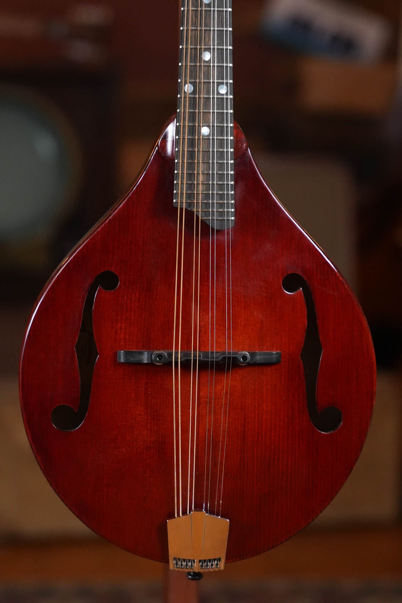 *Stage Ready* Eastman MD505CC/TV A-Style Mandolin w/ F-Holes #0367